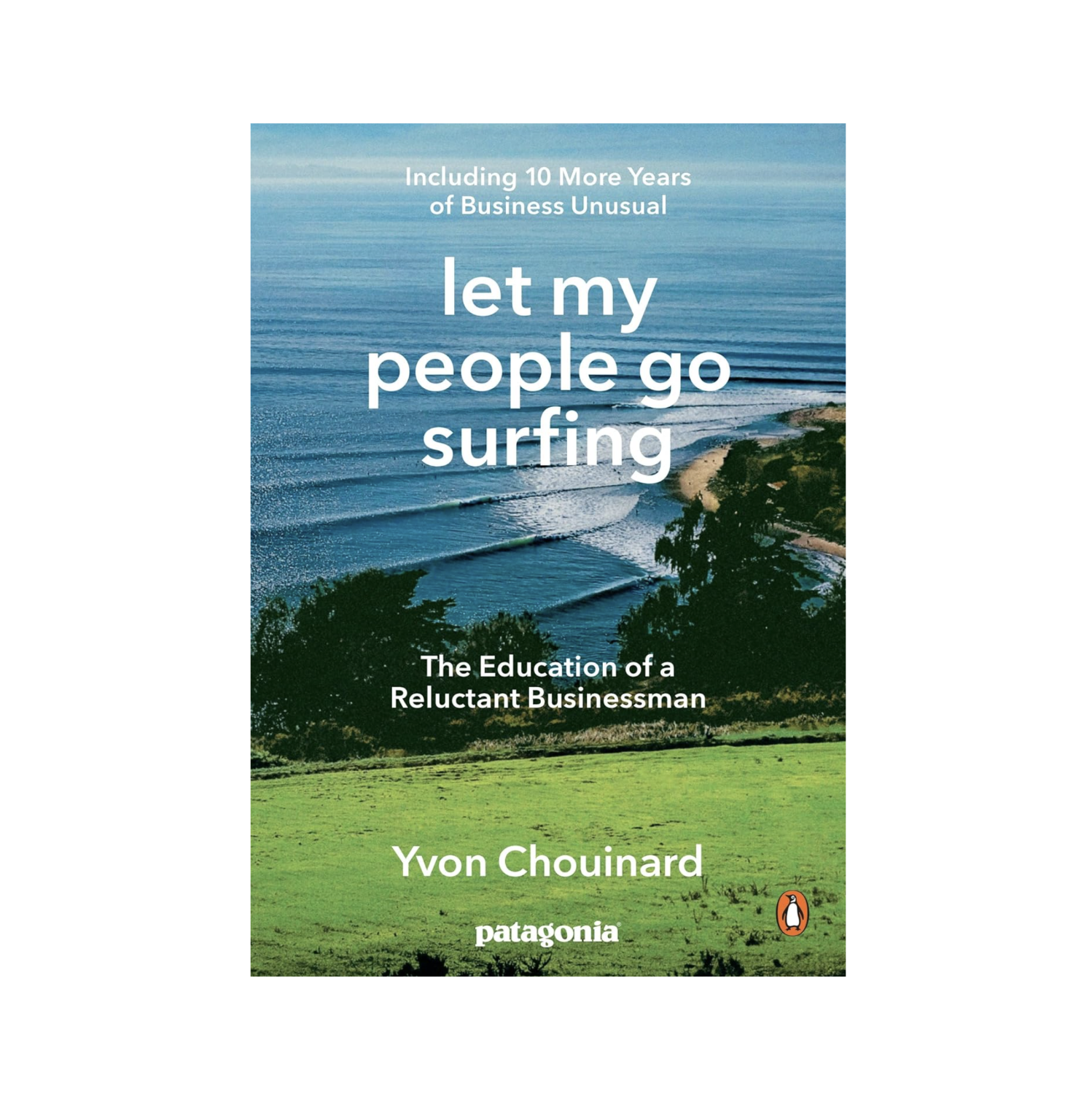Let My People Go Surfing: This book is about the beginning of Patagonia and is a model for how to be a mission-driving organization that lives by their values. 