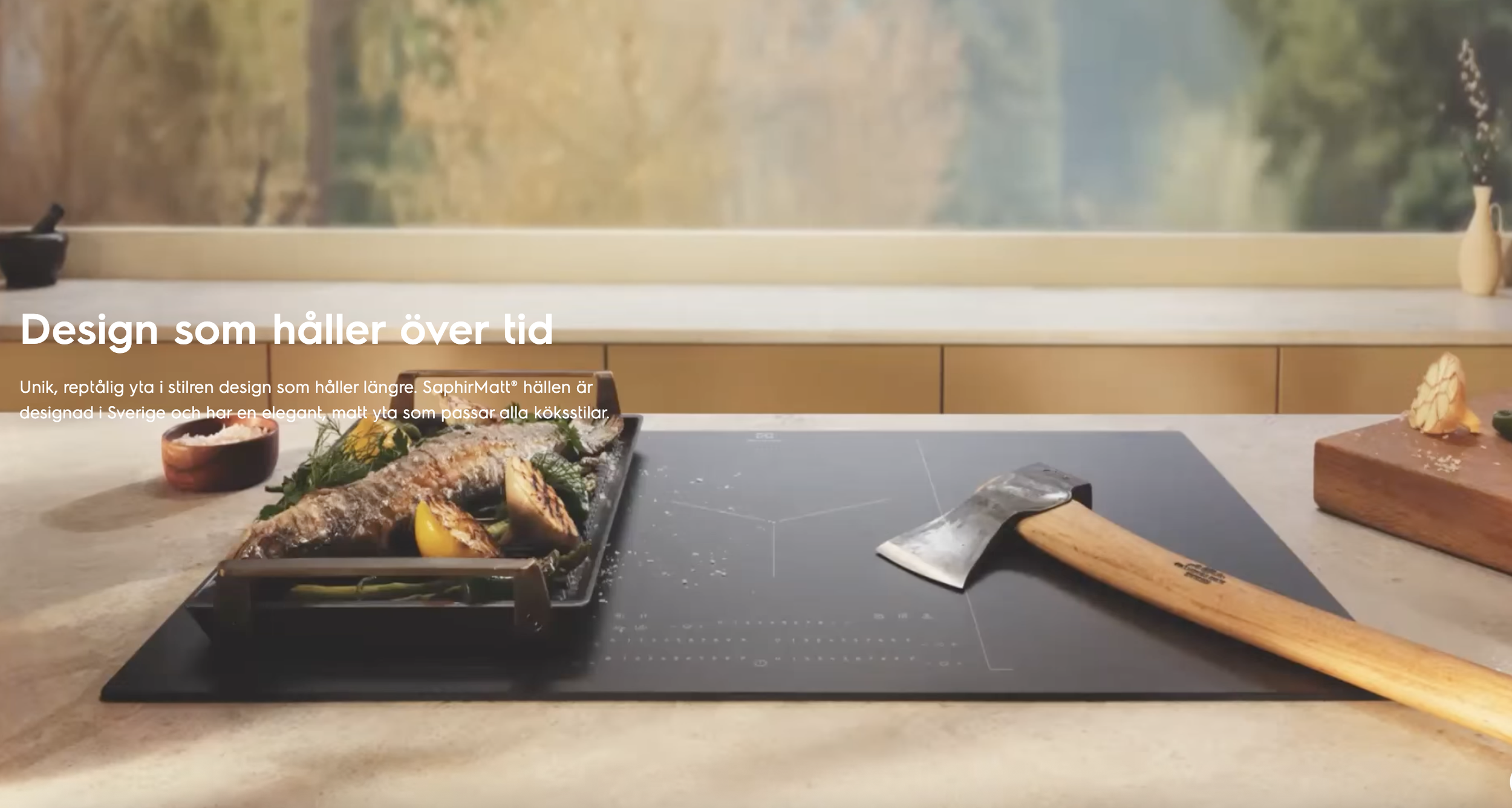Marketing for Electrolux