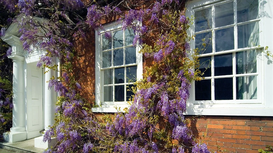 traditional house with timber sash windows