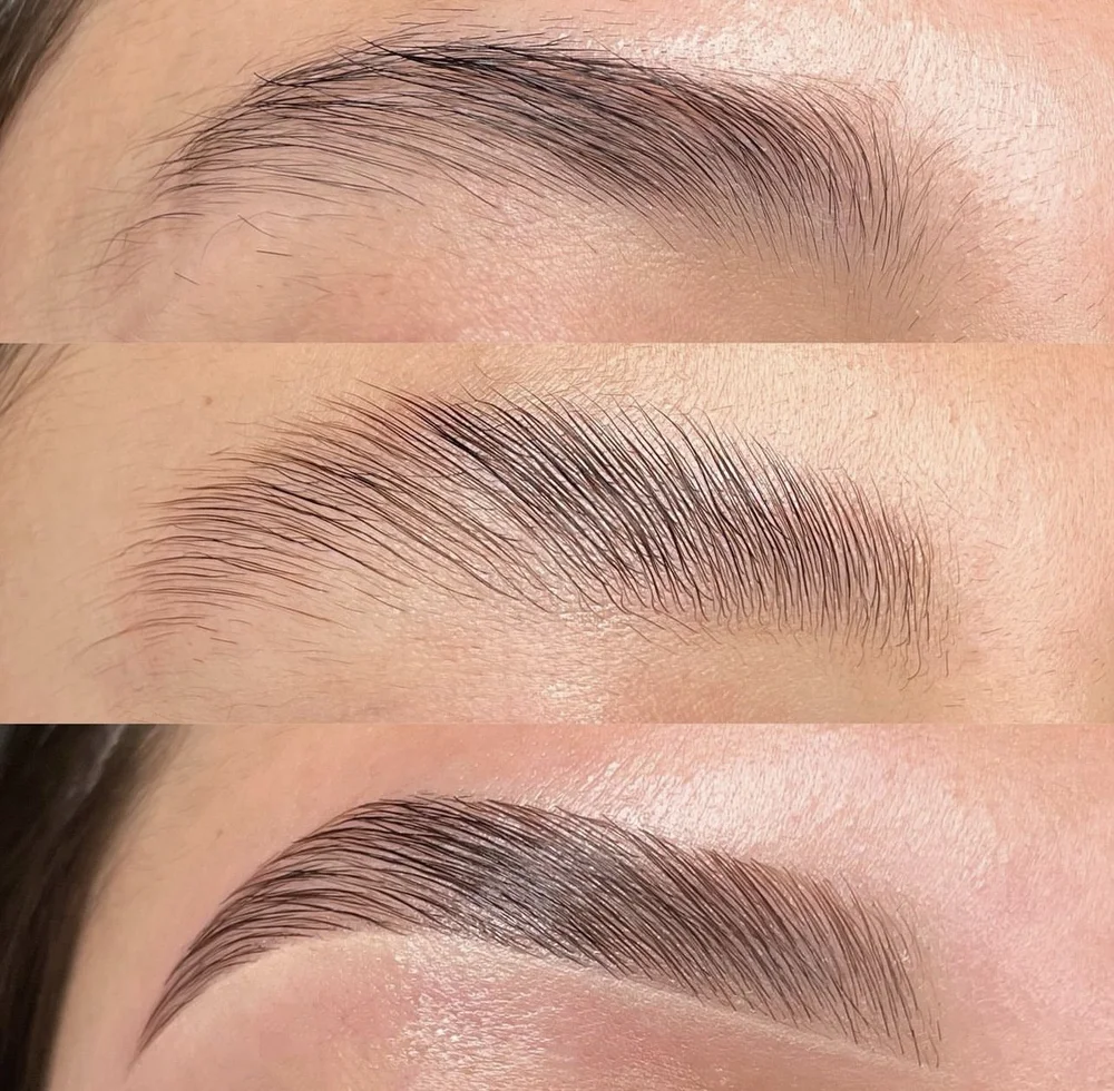 Brow lamination result with lifted brows