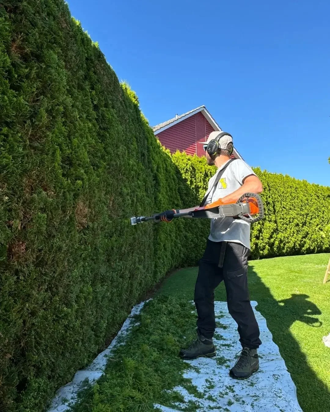 Am Samstag war diese schöne Thujahecke an der Reihe. 
So ein Heckenschnitt bei Top Wetter, ist auch mal eine willkommene Abwechslung zum normalen baumpflege Alltag. 
Das schneiden der bis zu 3 Meter hohe Hecke, war mit der Stangenheckenschere ei