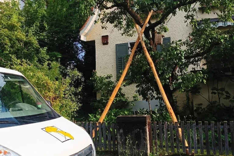 Beratung durch Baumpflegespezialisten