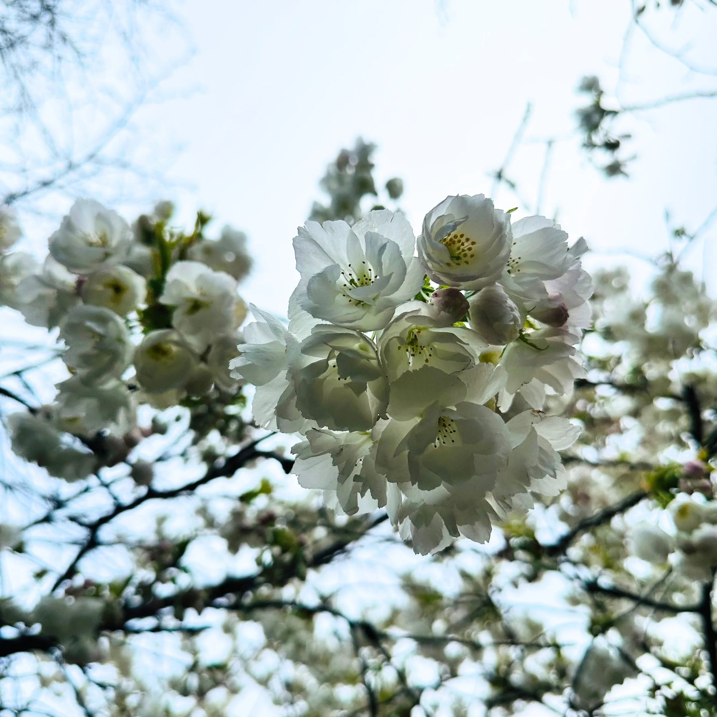 PRAN NEWSLETTER ISSUE 25: March 2026