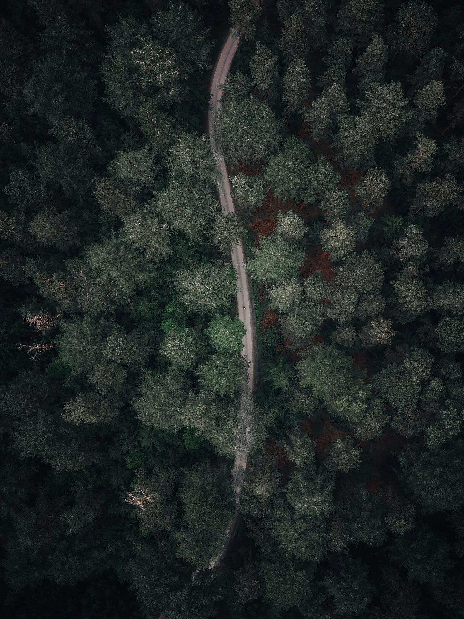 DJI_20260505174854_0007_D.jpg