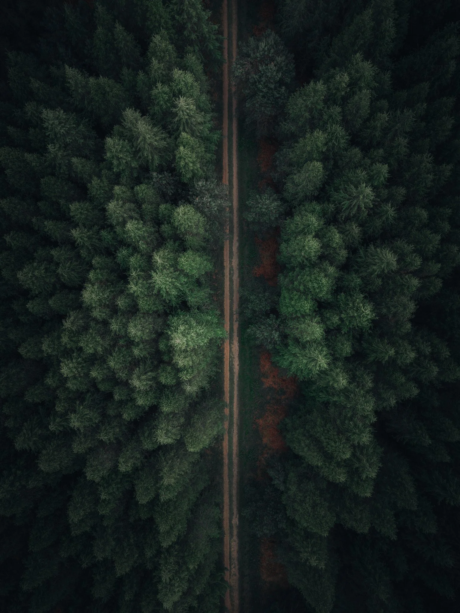 DJI_20260505184250_0038_D.jpg