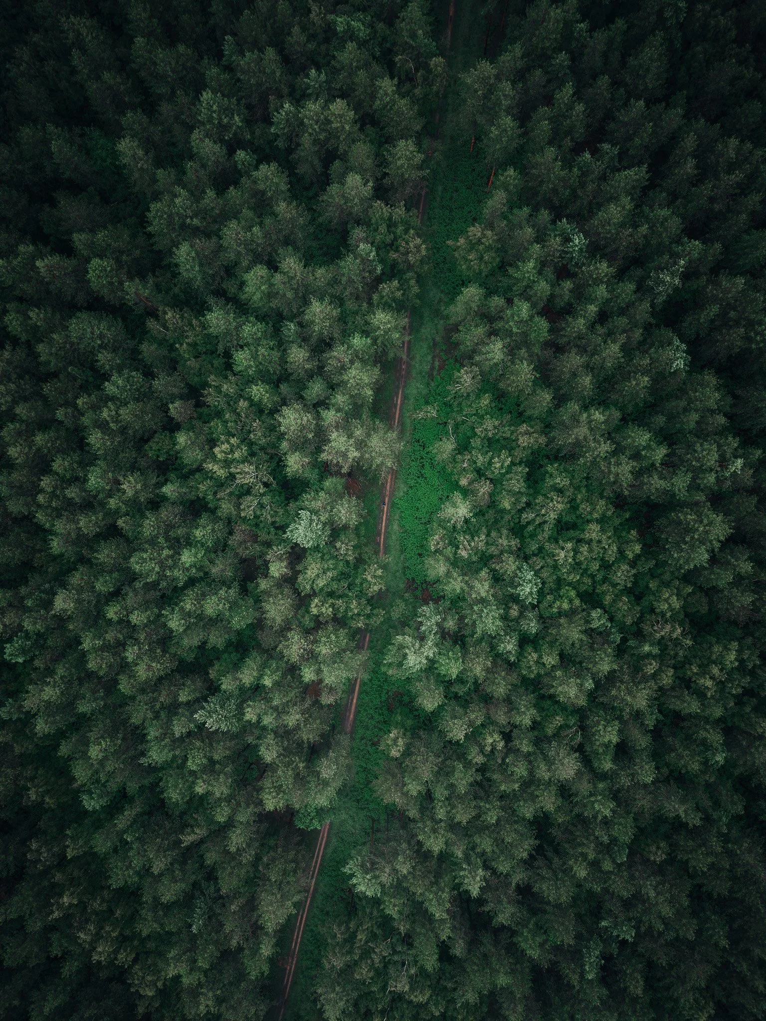DJI_20260611181711_0001_D.jpg