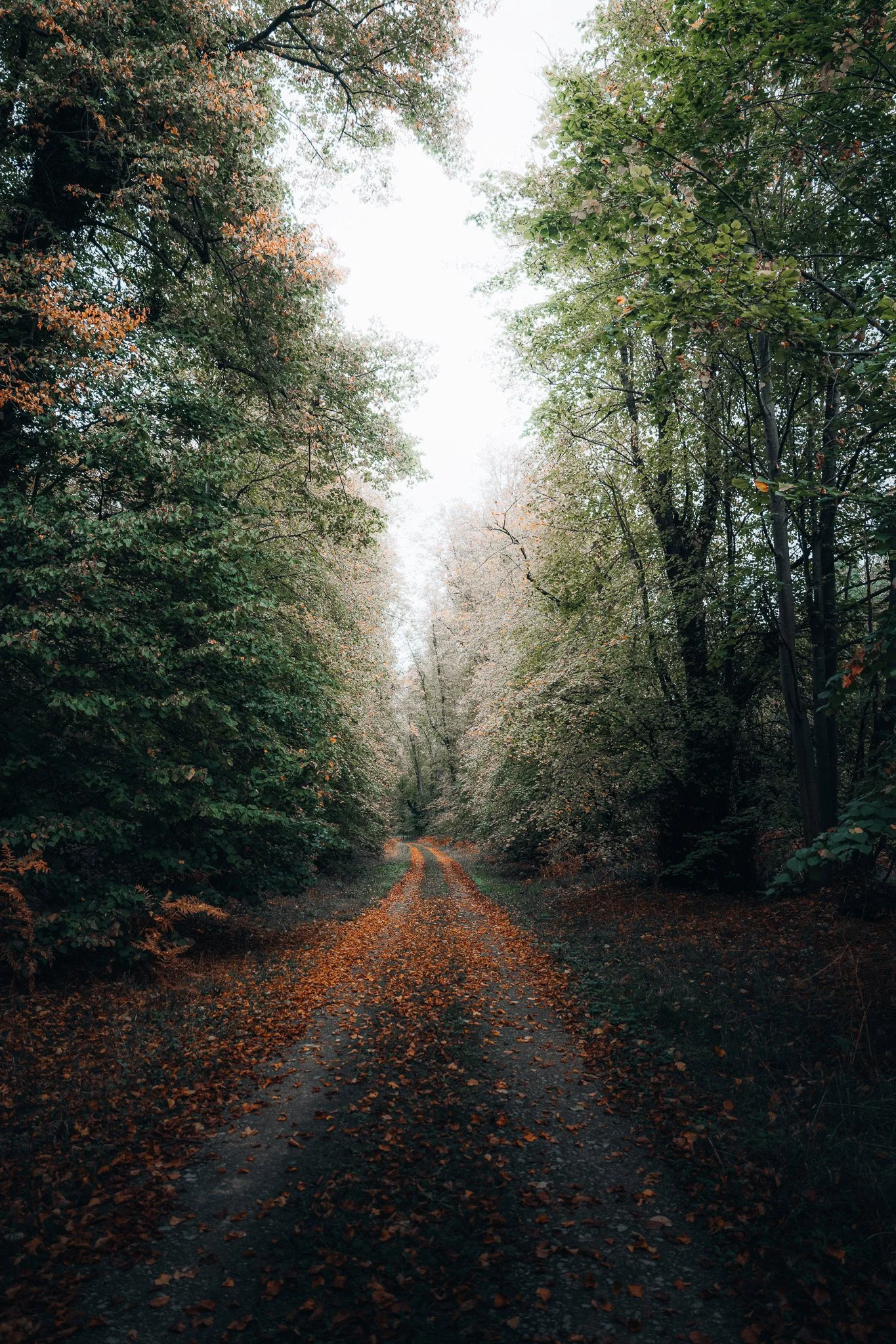 Taking The Long Way Home
