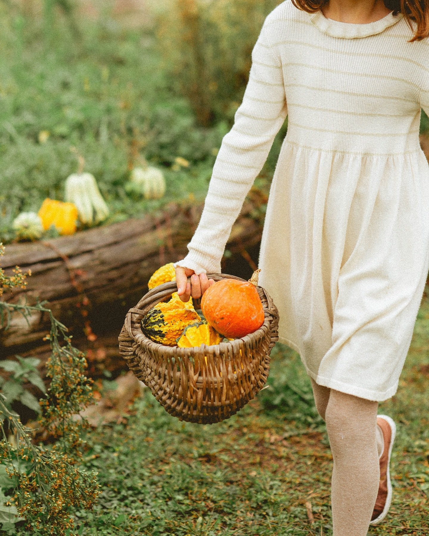 MINI S&Eacute;ANCES D&rsquo;AUTOMNE 

🍁 Une mini s&eacute;ance photo 
🍁 Pour soi, &agrave; deux, ou en famille 
🍁 Samedi 12 et Dimanche 13 Octobre 2024
🍁 Avec @maude.cphotographe 
🍁 &Agrave; la @cueillette.de.laragnon 

Pour f&ecirc;ter cette be