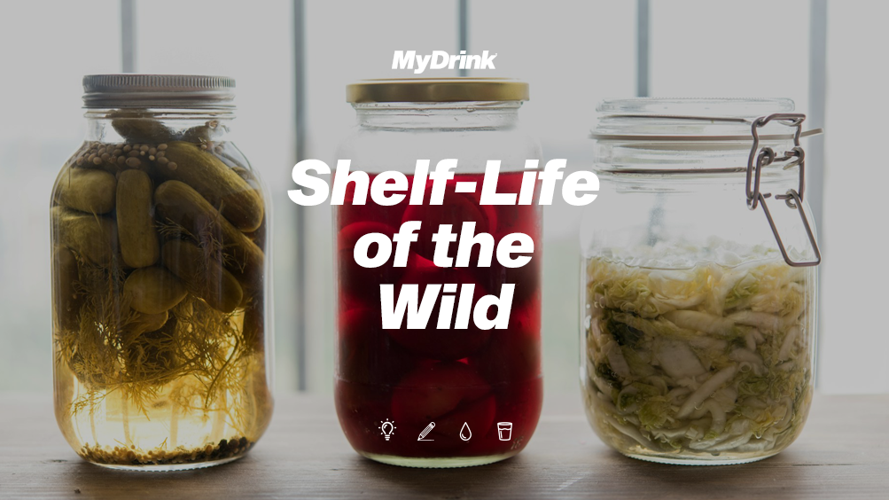 Shelf-Life of the Wild- Storing Your Forest.png