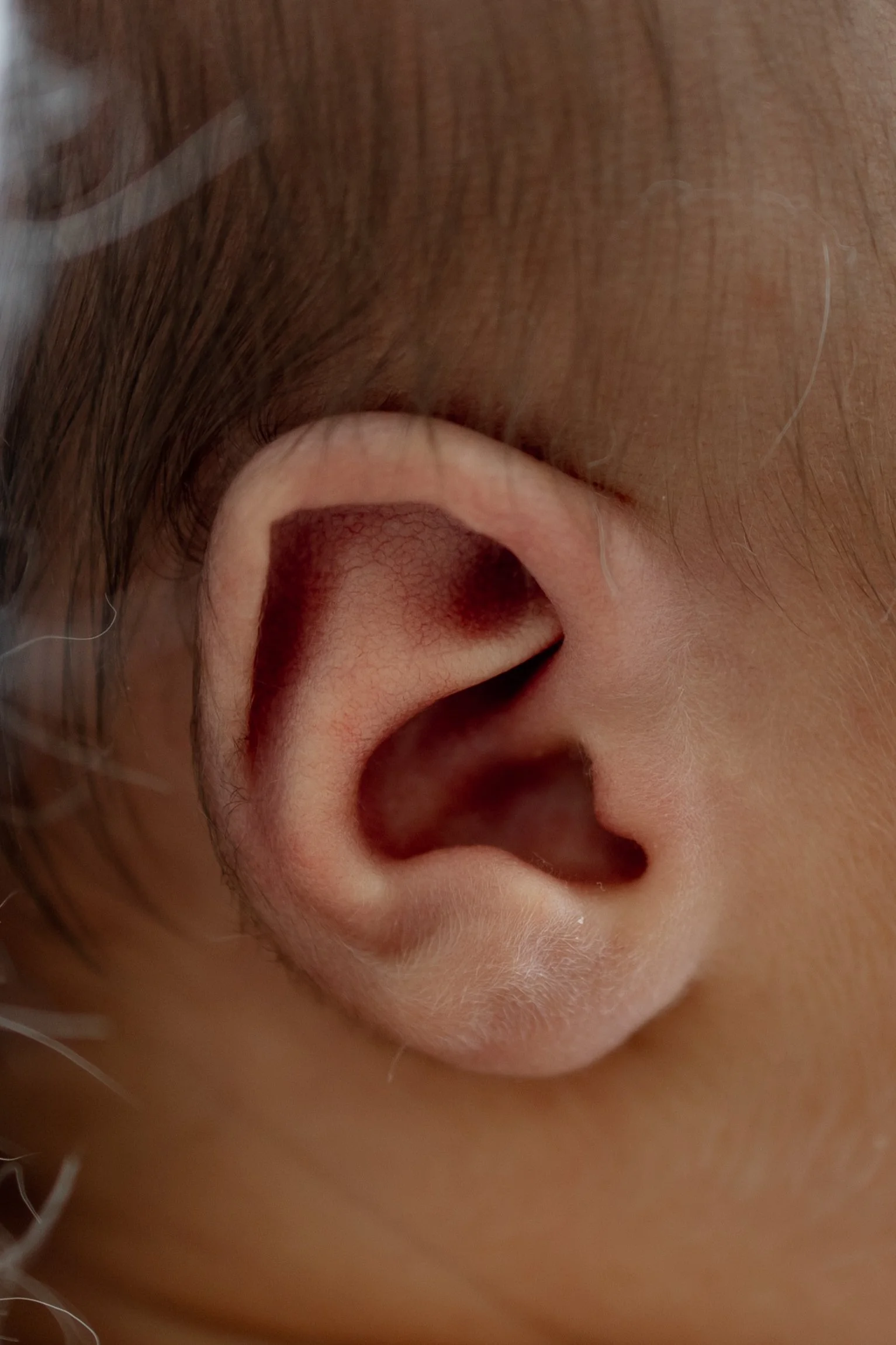 Nyfødtfotografering