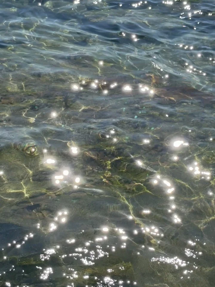 Little bit of this little bit of that. Work and time off edition. 

- Filming with the best @reachout_aus @keyyproductions @rudyjeanrigg 👀 out soon! 

- Book launch for @hello_andrewsloan with the team 

- Catching flights AND feelings, quick stops 