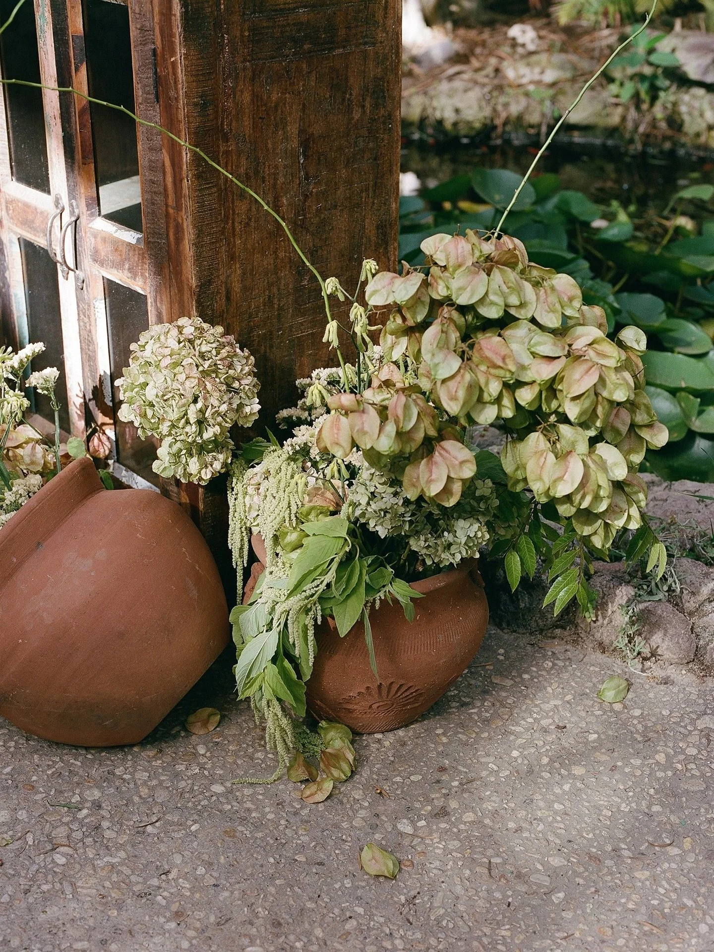 The stunning details from a beautiful day with @detailsdarling ✨ all captured on 35 &amp; 120mm film

Photo @caitphoto_
Planner @detailsdarling
Venue @dos_pueblos_orchid_farm
Florist @theflowerboyco
Video @westimagery
H&amp;MU @samarabeautysb
Rentals