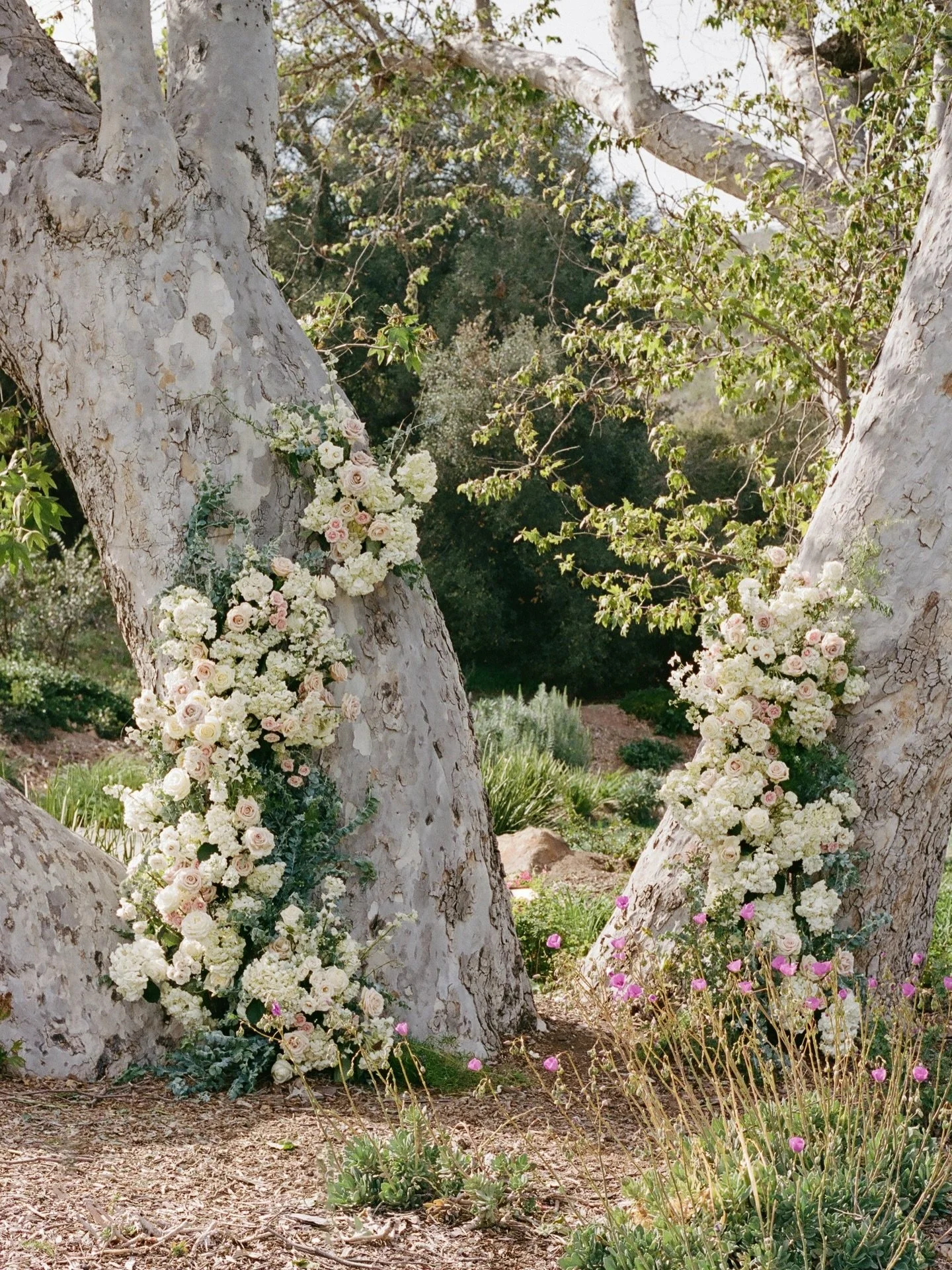 Mallory + Trent&rsquo;s day last year at @monseratewinery 🤍 All on 35mm film 🎞️
