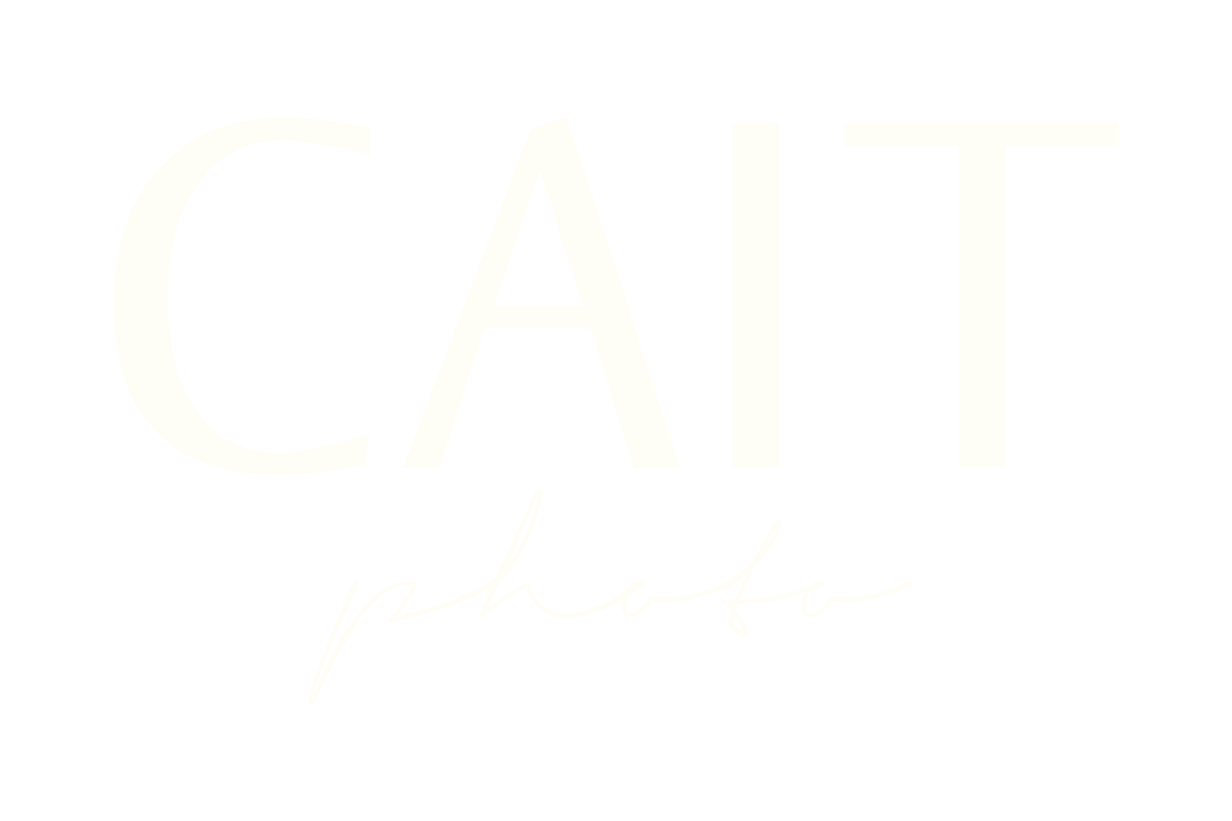 Stylized text that says 'Cait Photo' in large white letters with a black background, with 'photo' written in cursive underneath.