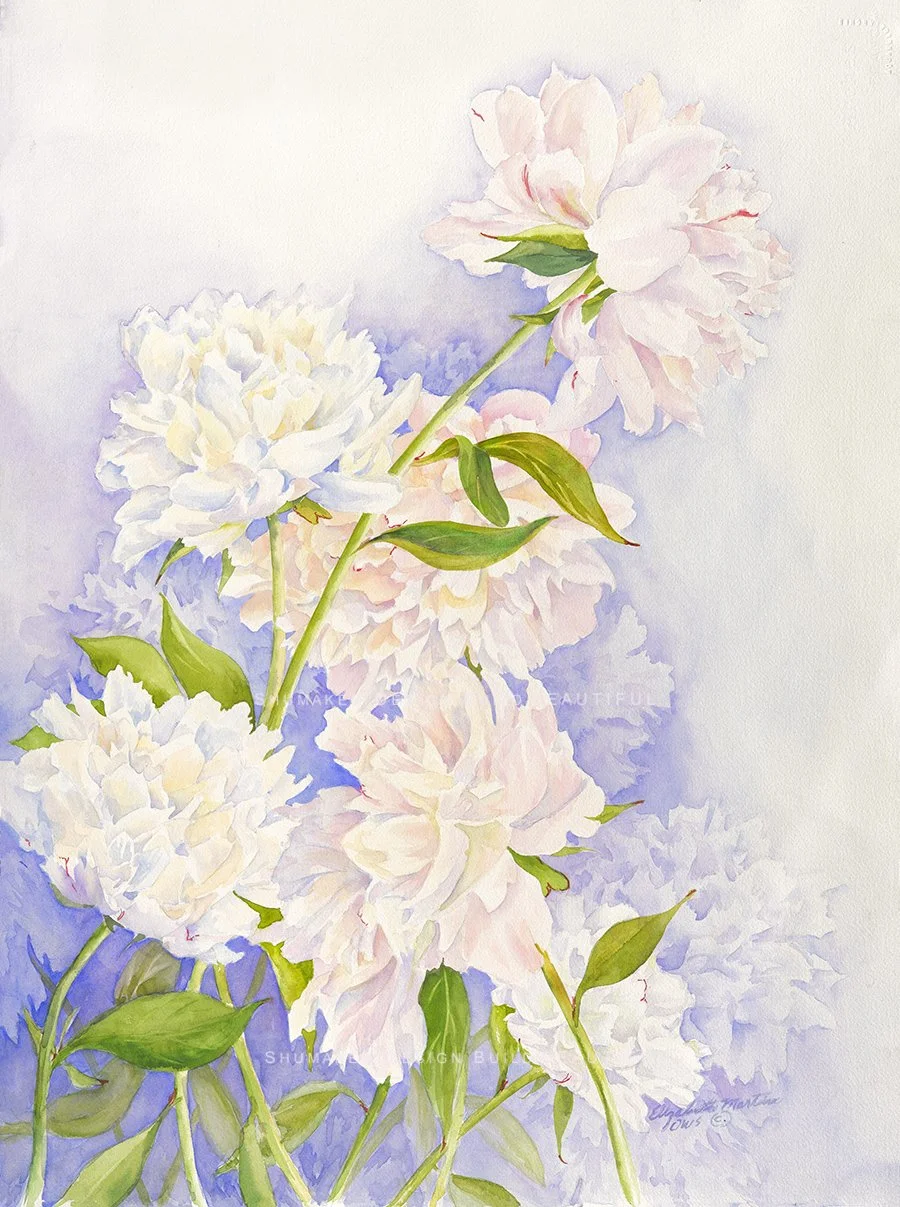 hydrangeapinkshumaker.jpg