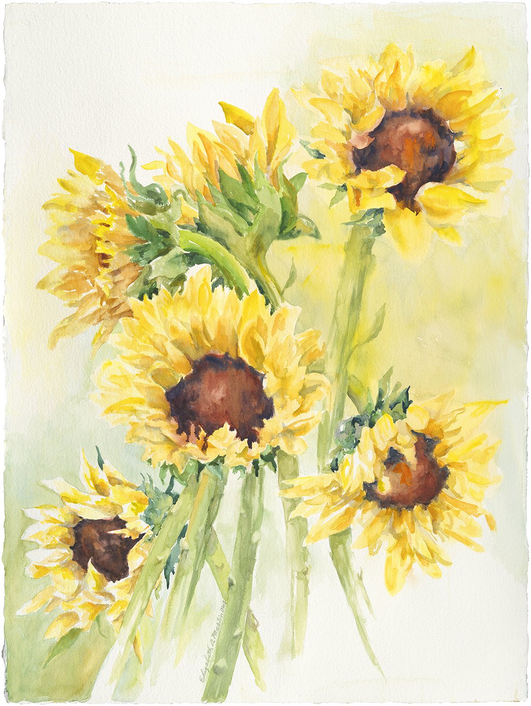 sunflowerweb.jpg