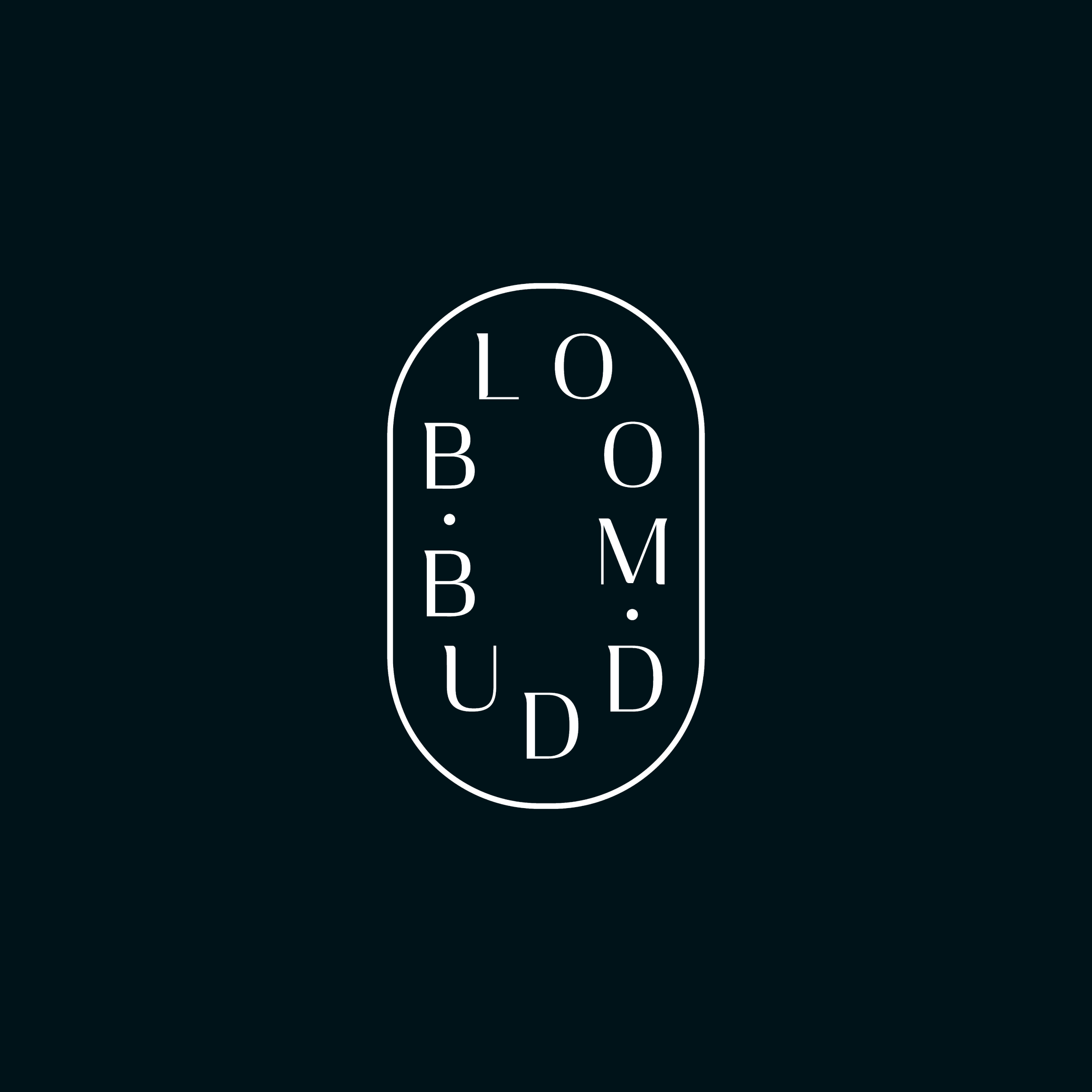 bloombudd-family-lawyers-marque-animation-colour-palette.gif