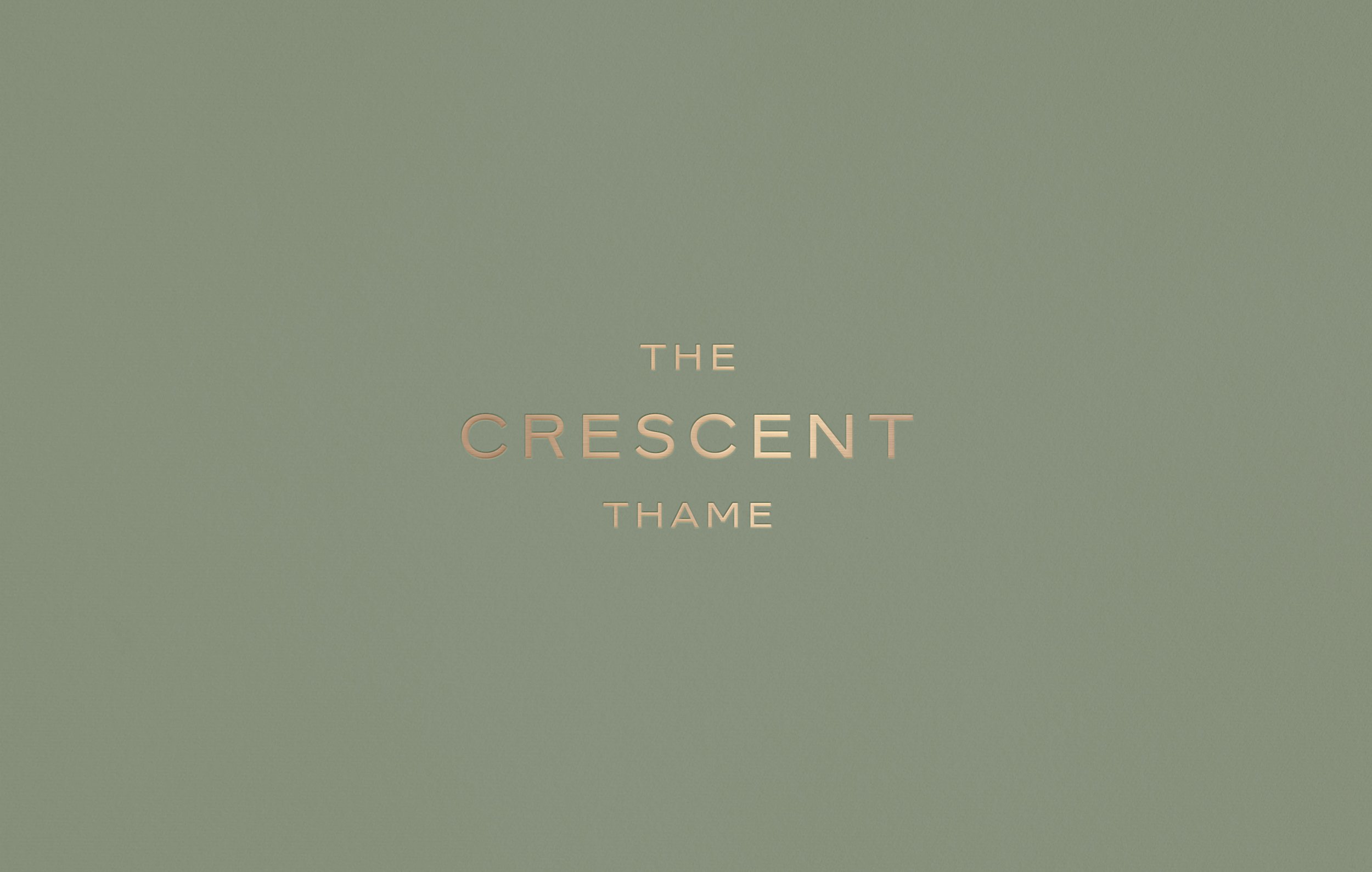 dd-london-crescent-thame-branding-logotype-foiled-sage.jpg