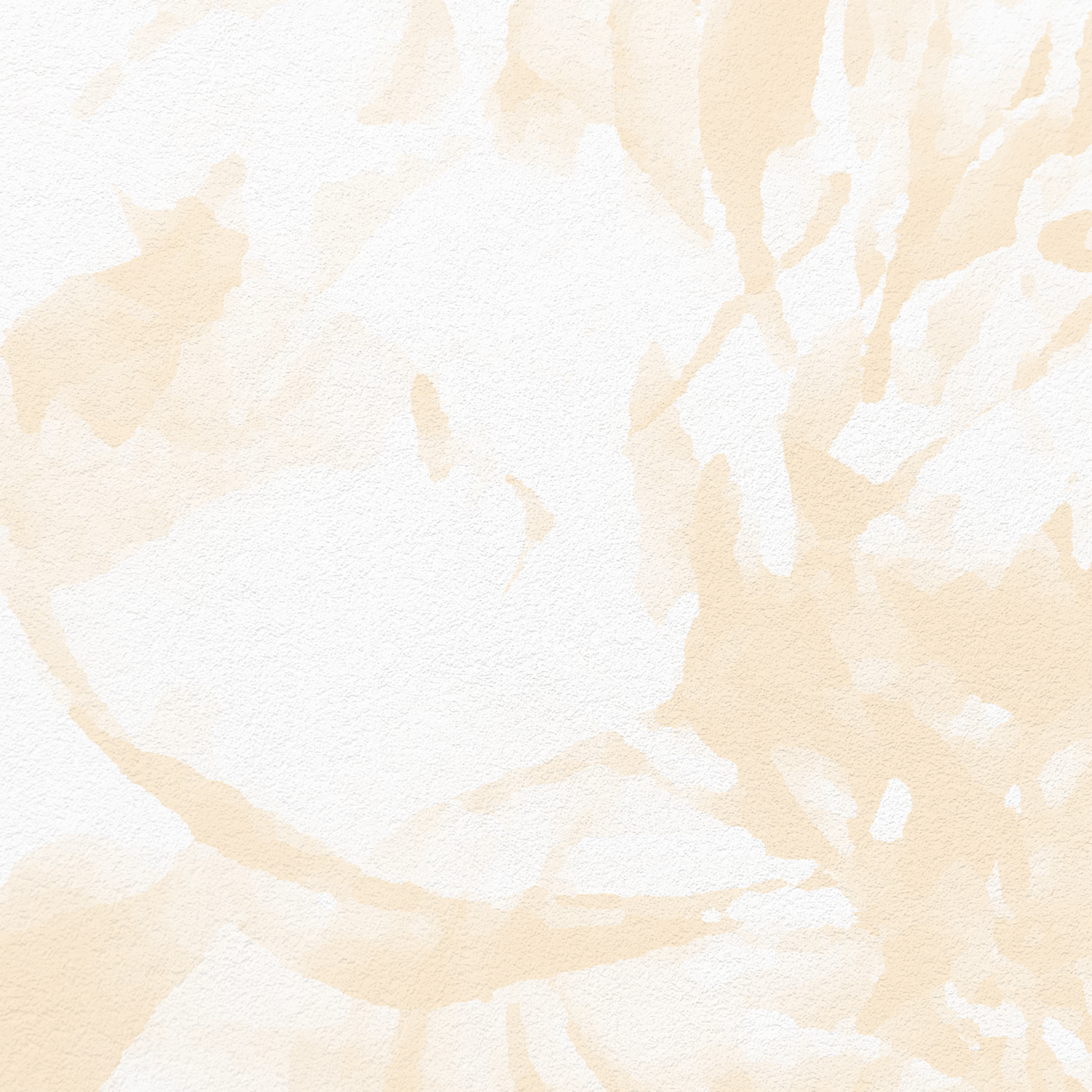 bloombudd-pattern-gif-animation.gif