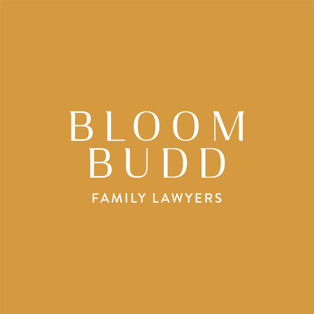 bloombudd-family-lawyers-run-for-the-hills-rebecca-webb-branding-colour-palette.gif