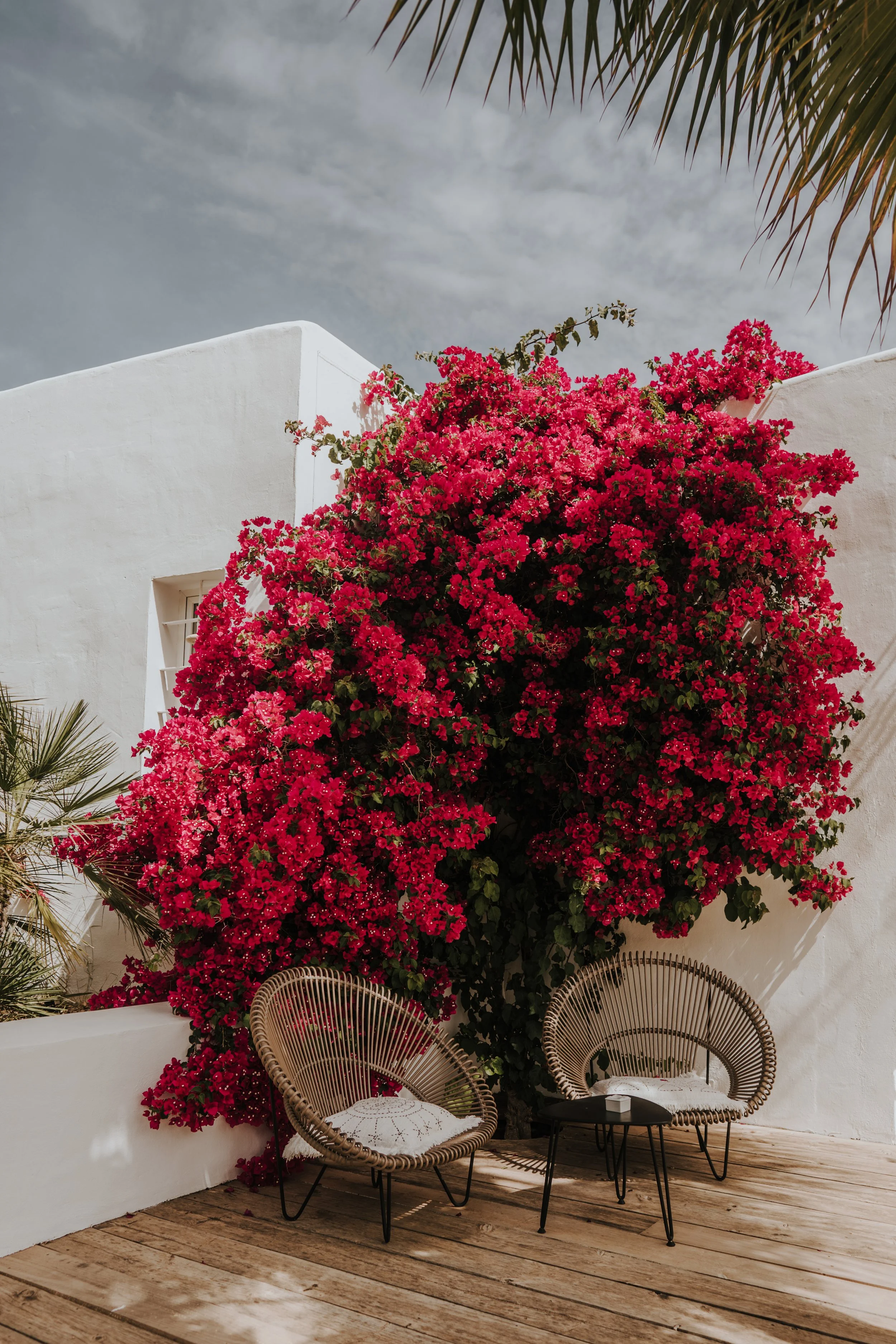 destination wedding florist ibiza indeco flowers0055.jpg