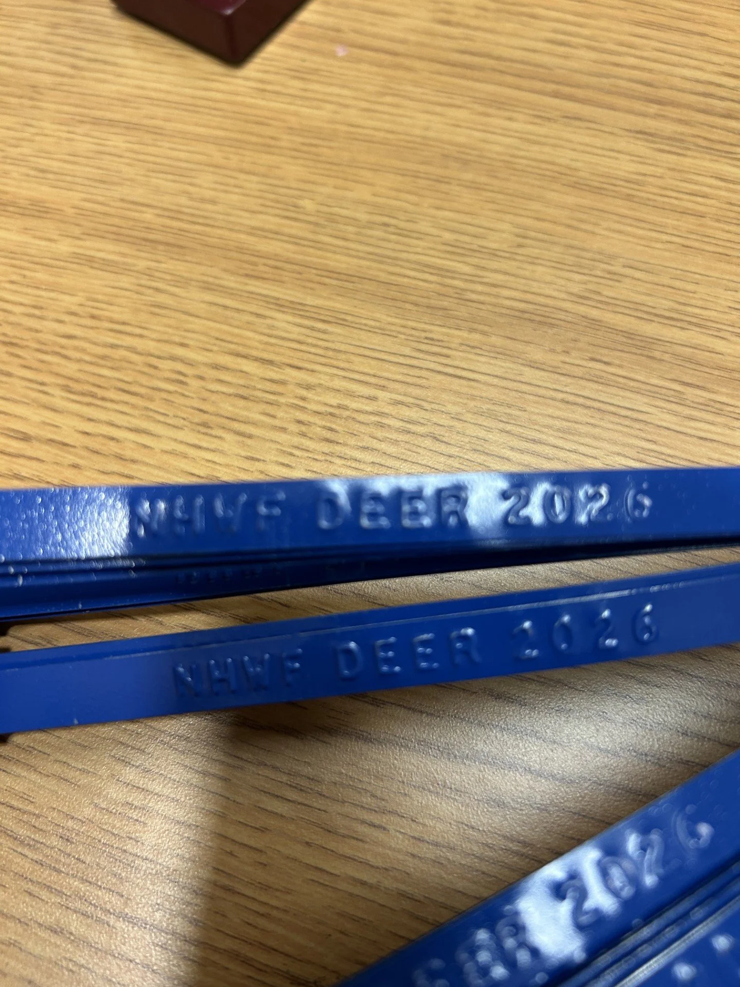 deer tag.jpg