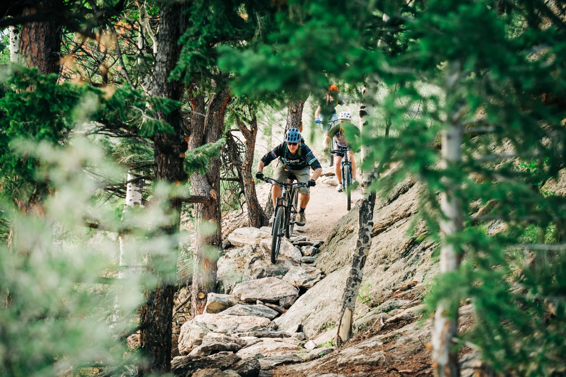 Mountain bikers riding a rocky trail through a dense evergreen forest