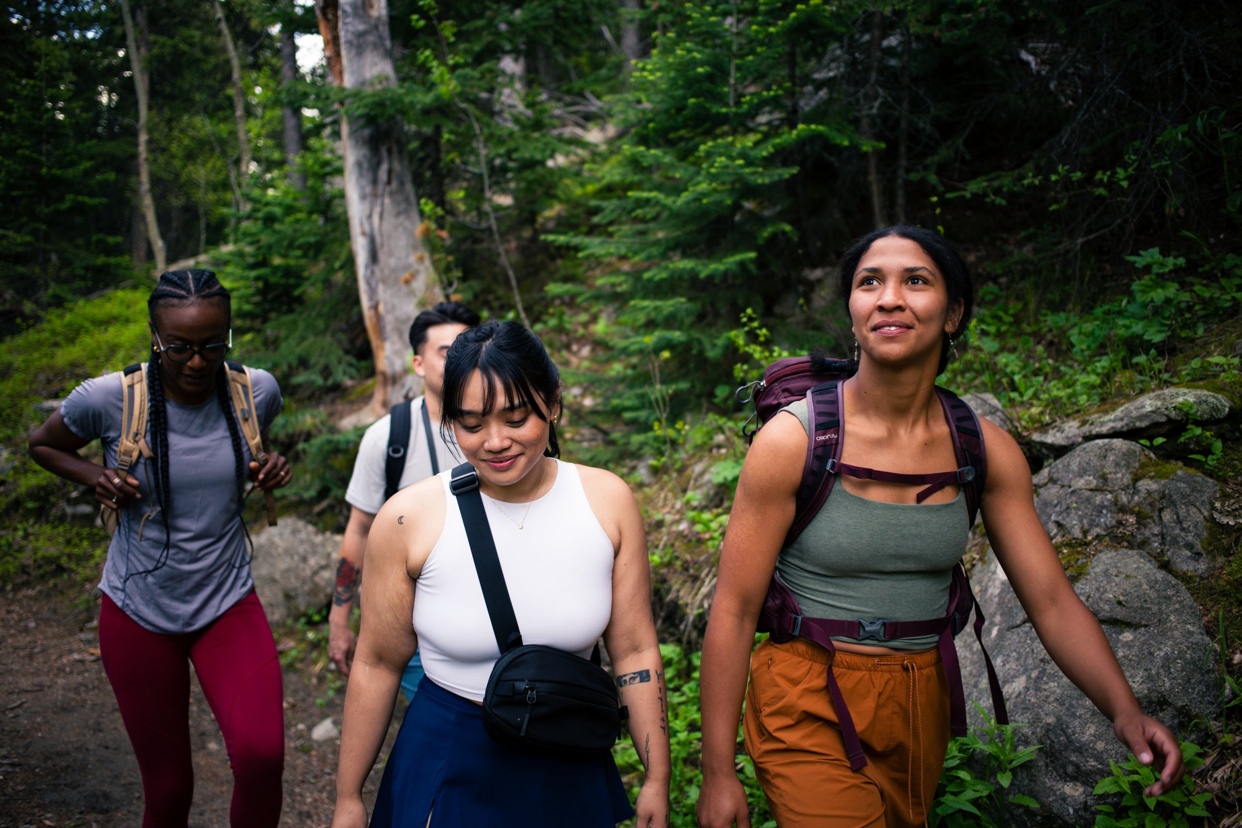 Four hikers wearing backpacks walk through a lush forest trail surrounded by rocks and trees.
