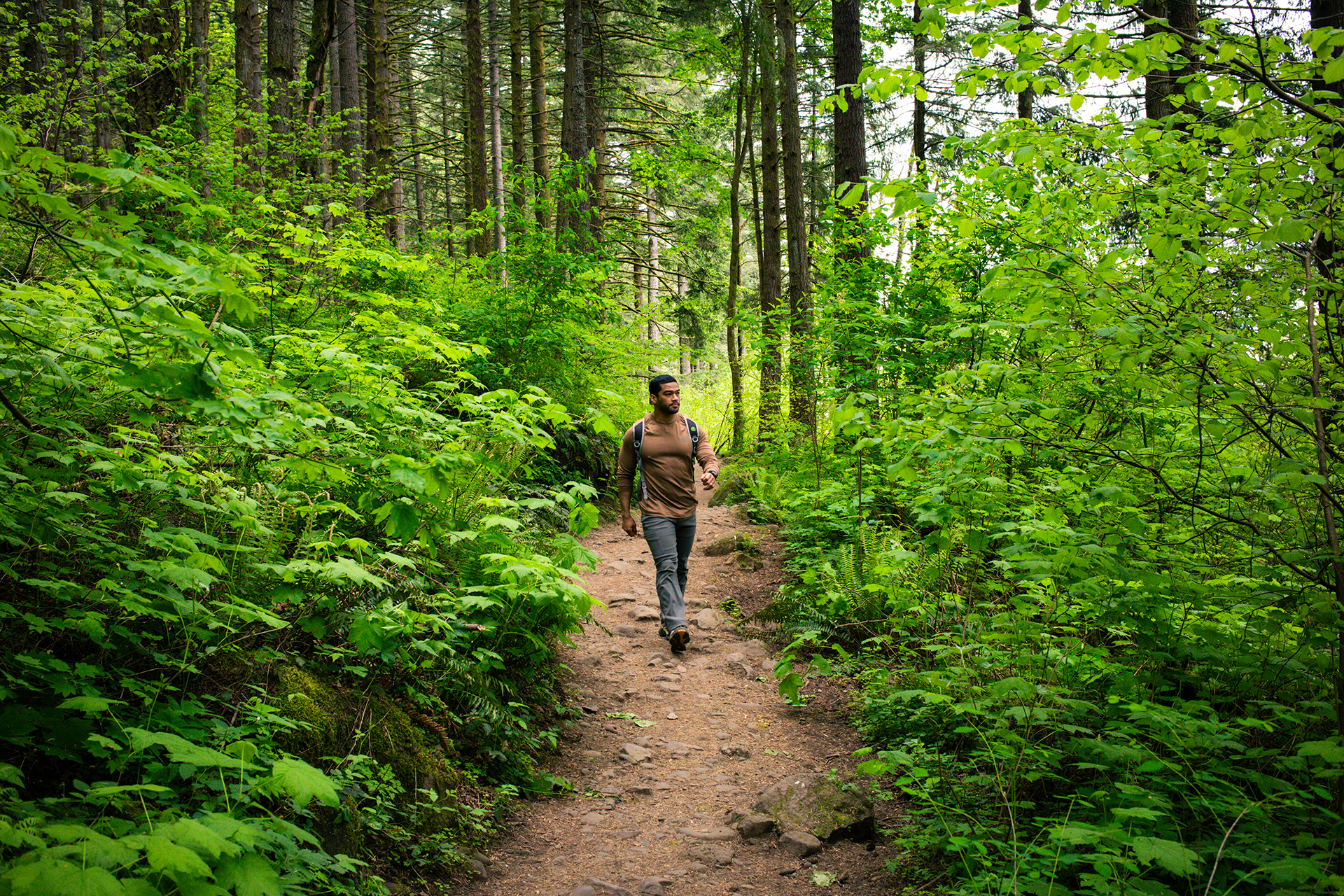Hiker with a backpack walking along a rocky forest trail surrounded by lush green foliage and tall trees