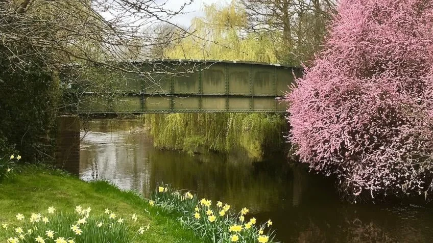 Supporting Local Causes