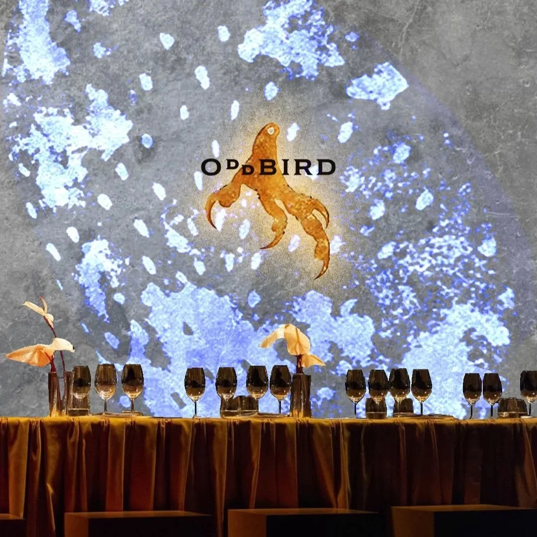 Oddbird+simulation3.jpg
