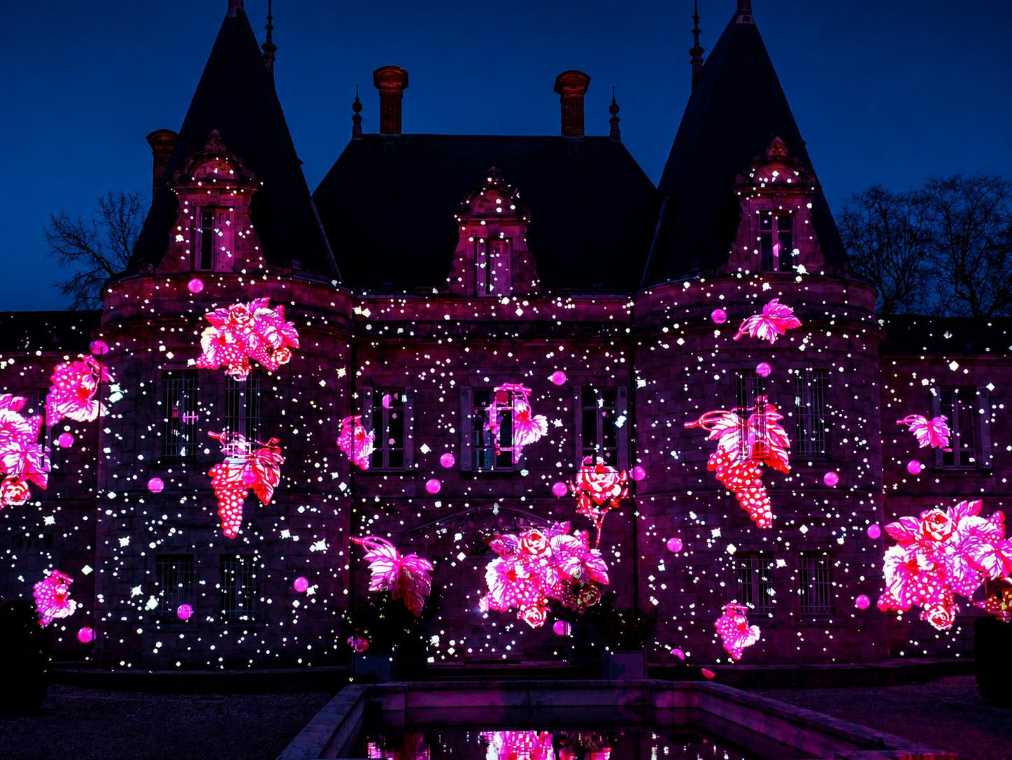 Rose retouchée.png