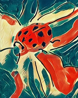 Jo_Hathaway_ladybug.jpeg