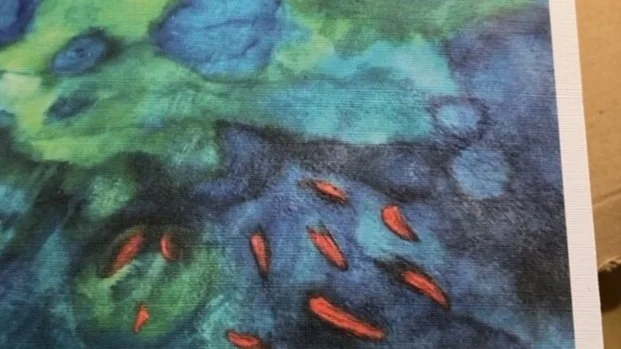 Jo_Hathaway_Flamefish_cards.jpg
