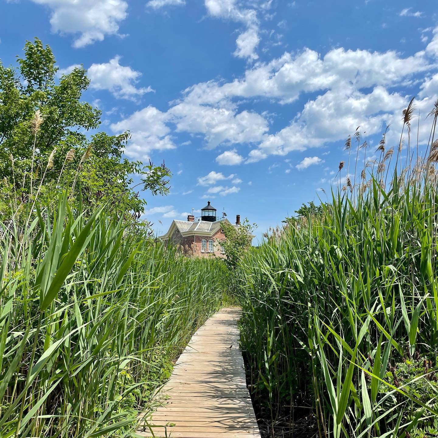 In celebration of National Lighthouse Day, we kicked off the week with tours of the tower and a tribute to all the beloved beacons that have kept mariners safe around the world. Still an active aid to navigation, the Saugerties Lighthouse has guided 