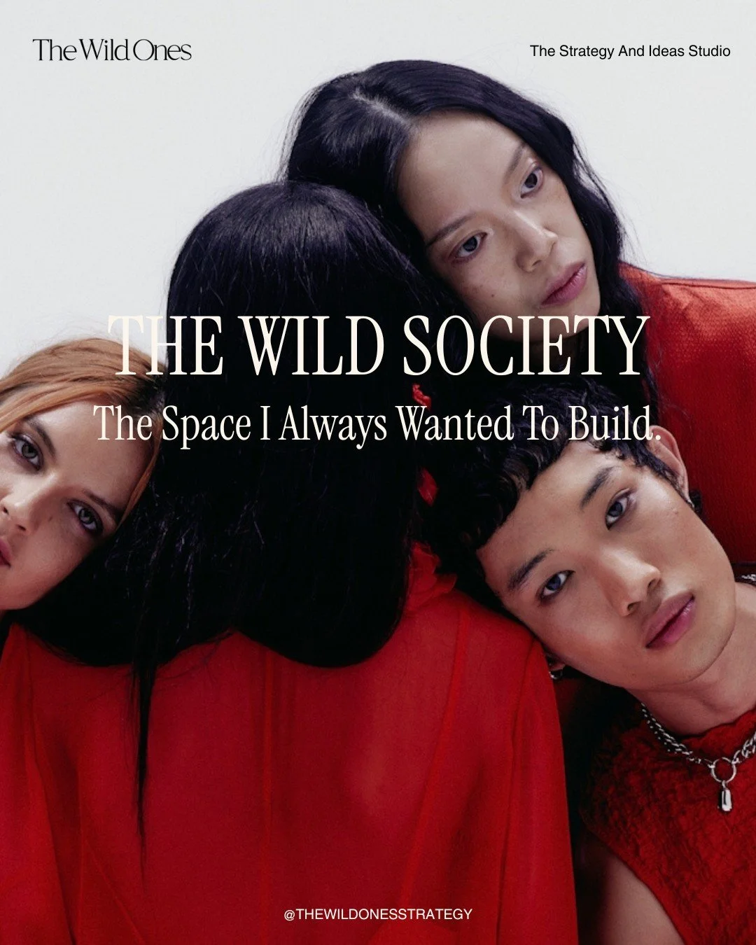 I&rsquo;ve wanted to build this space for years.
From the day The Wild Ones launched, people said,
&ldquo;If you ever start a cult, can I join?&rdquo;
They&rsquo;re in there now.

The Wild Society is our corner of the internet - intimate, intelligent