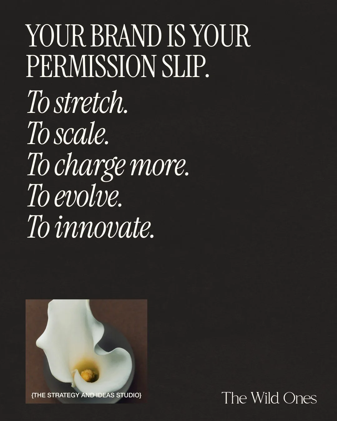 Your brand isn&rsquo;t the wrapper around your business &mdash; it&rsquo;s the space you own in the world.

That space decides:
&gt; how far you can stretch
&gt; what you&rsquo;re allowed to evolve into
&gt; the credibility you hold in the rooms you 