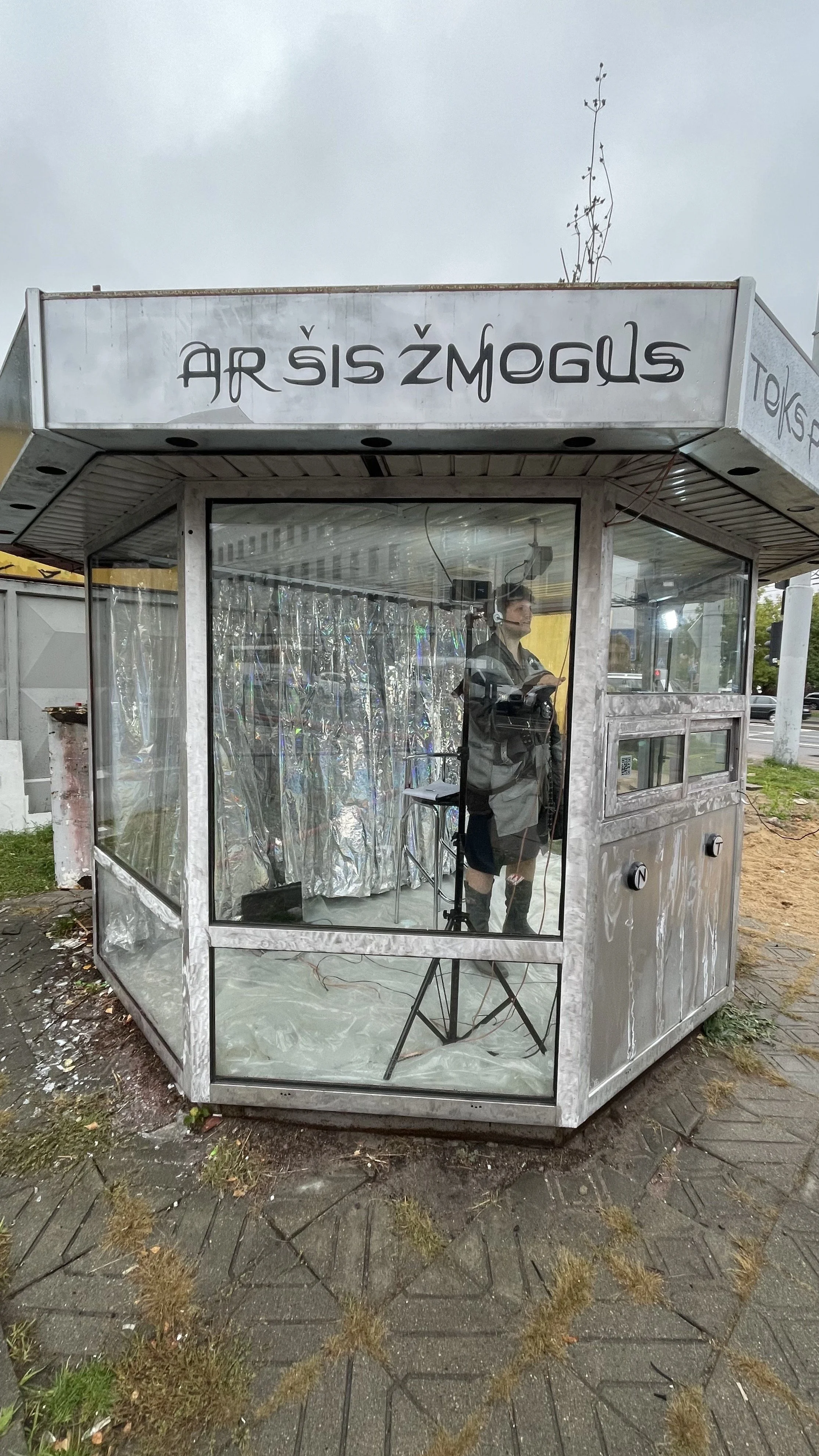 LAISVE IMG_6149.jpeg