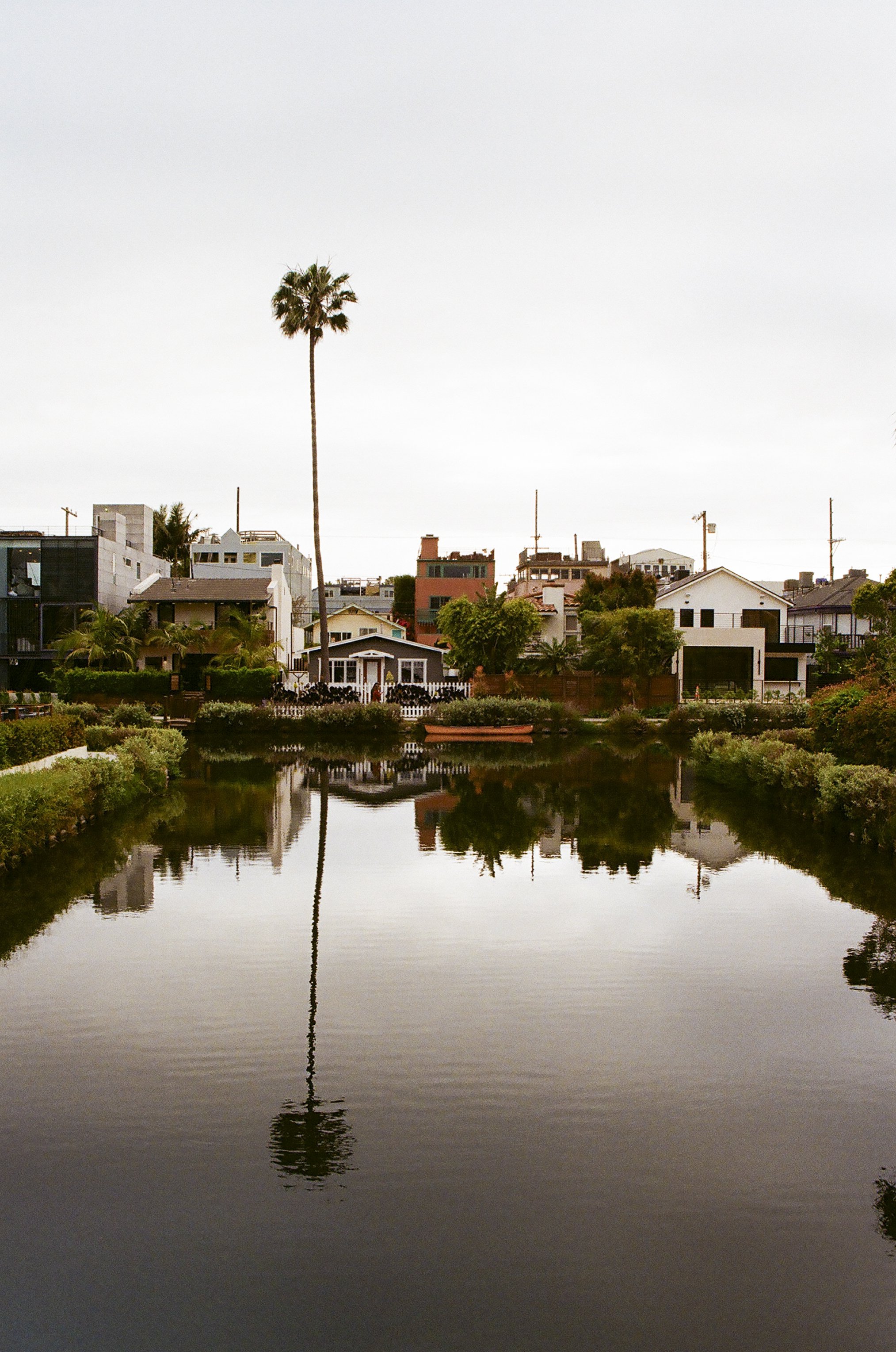 california film-47.jpg