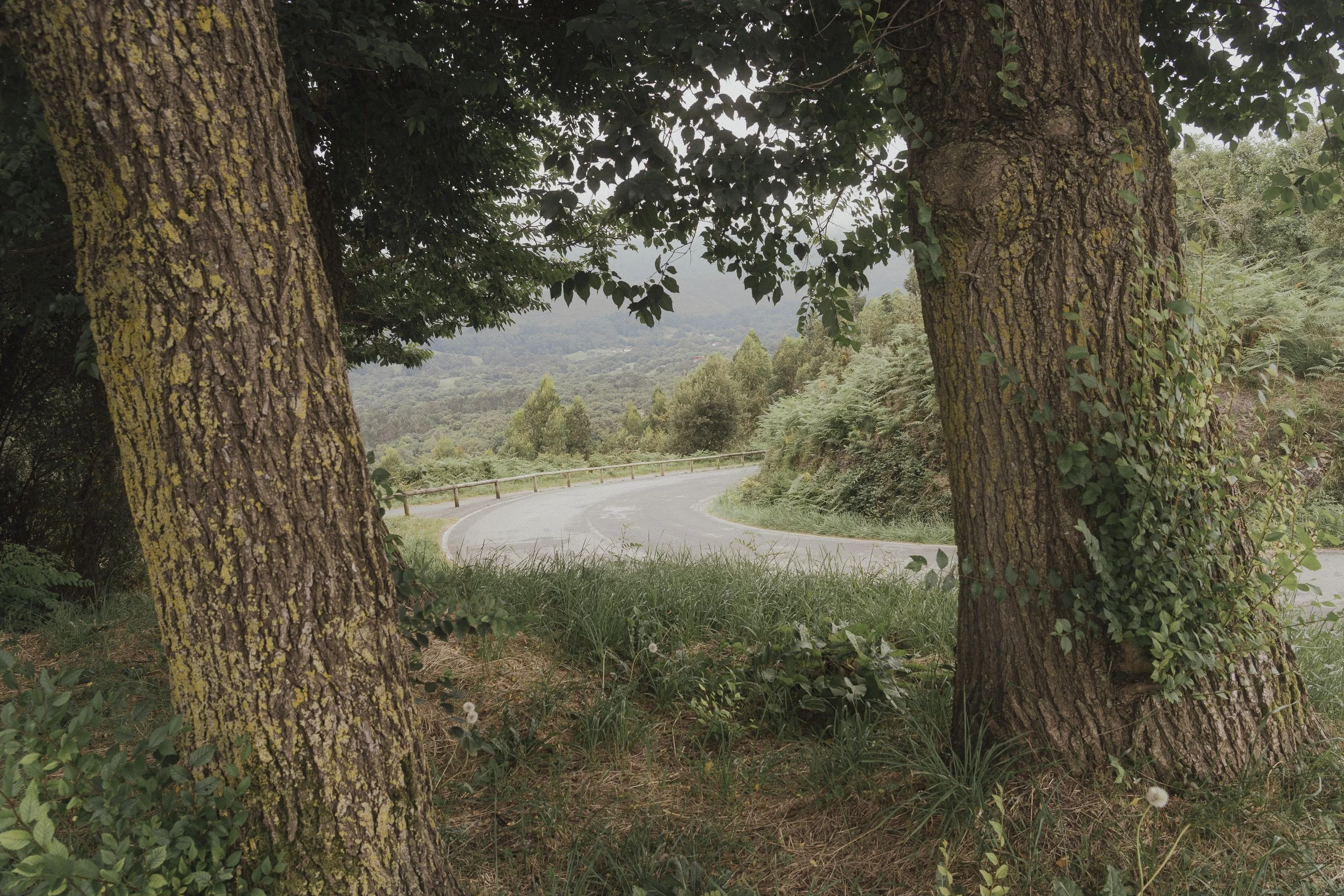 north to south-29.jpg