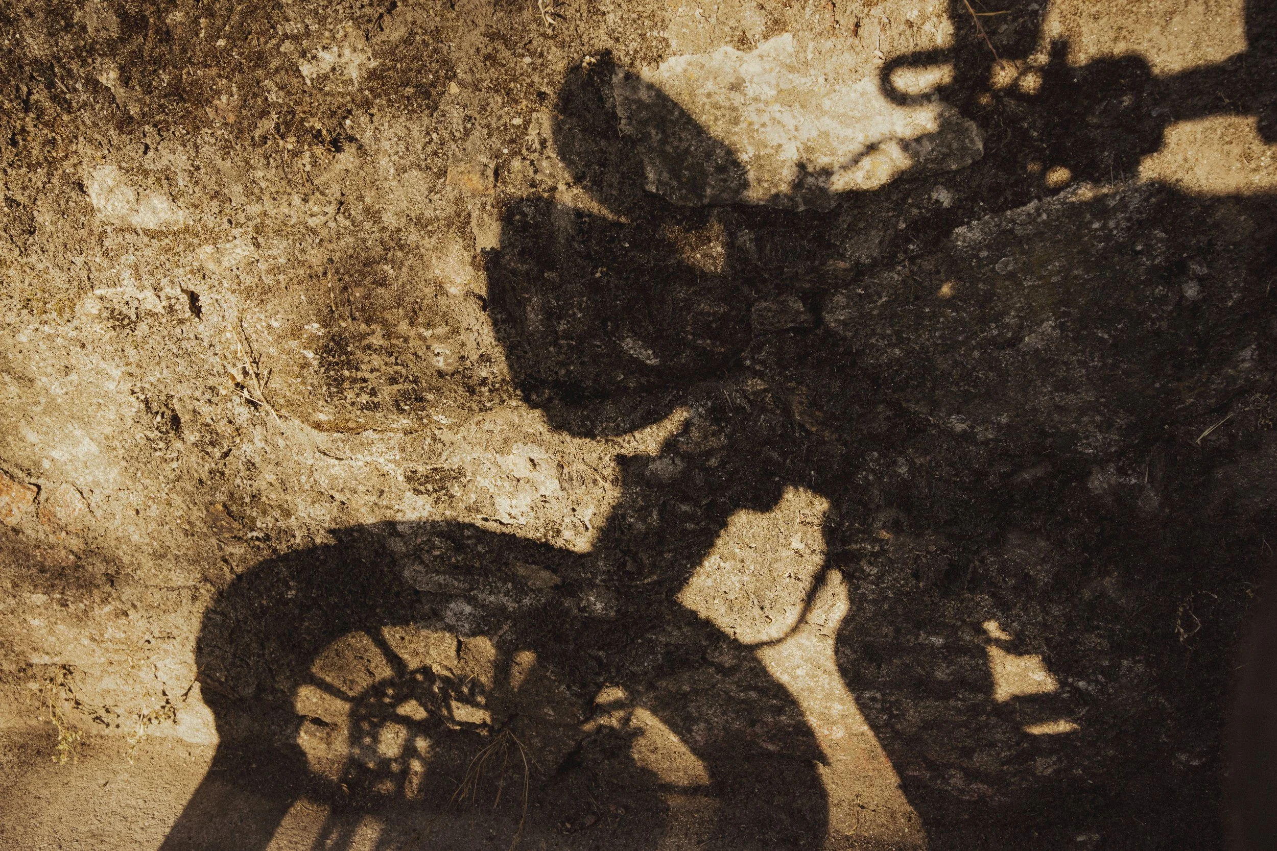 north to south-100.jpg