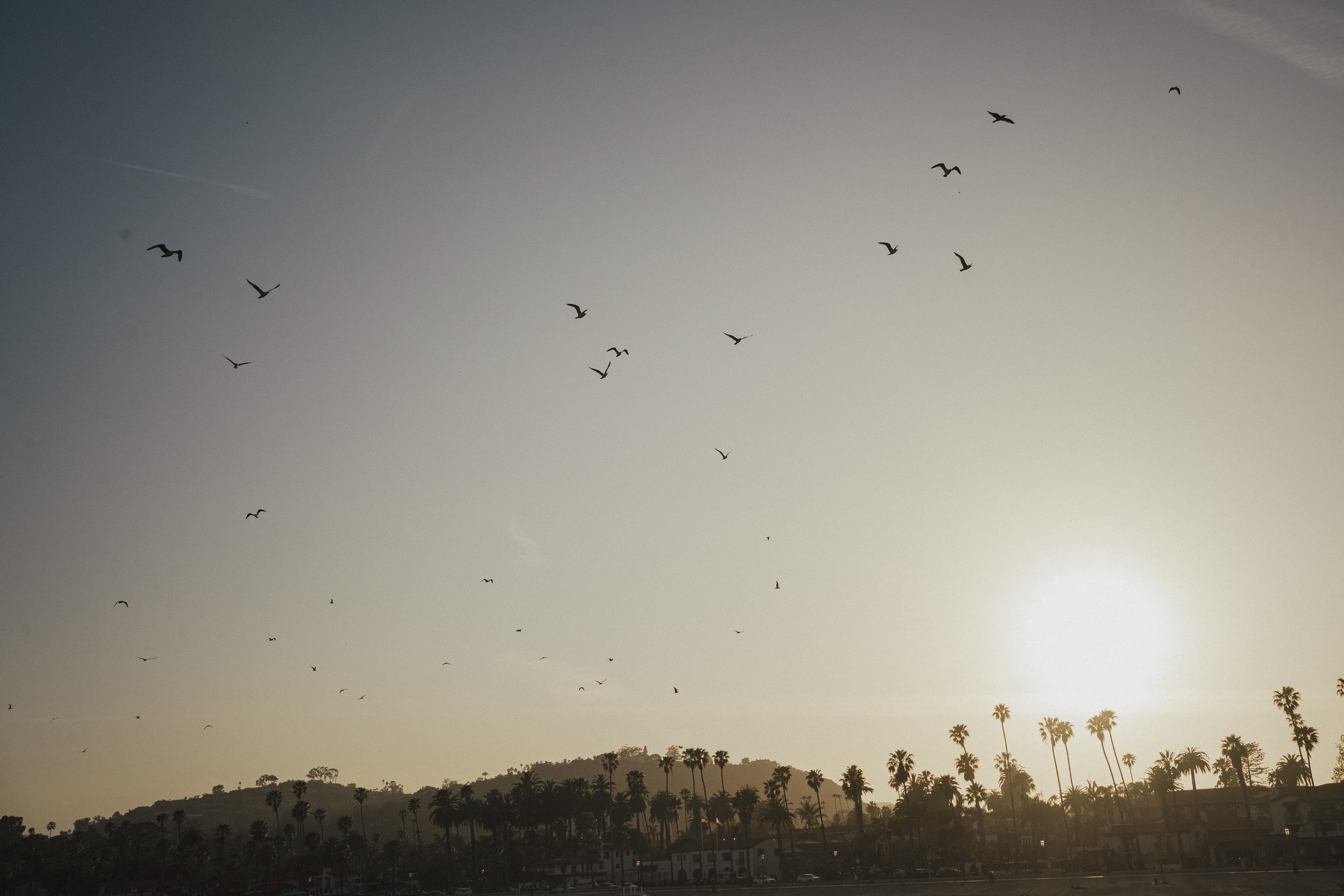 California roadtrip-14.jpg