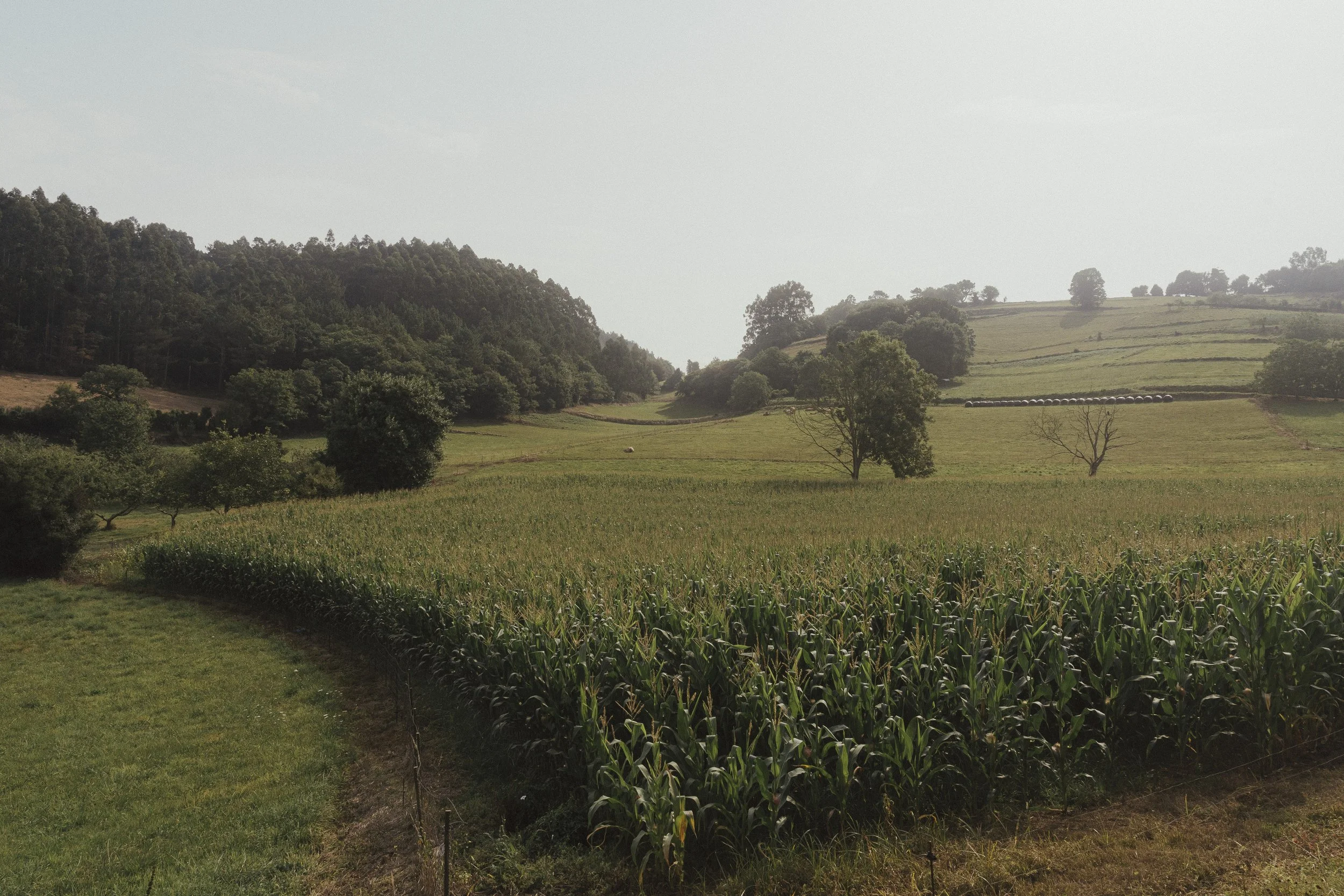 north to south-71.jpg