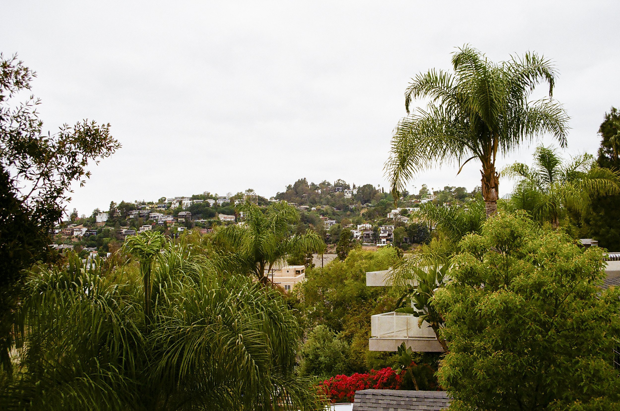 california film-21.jpg