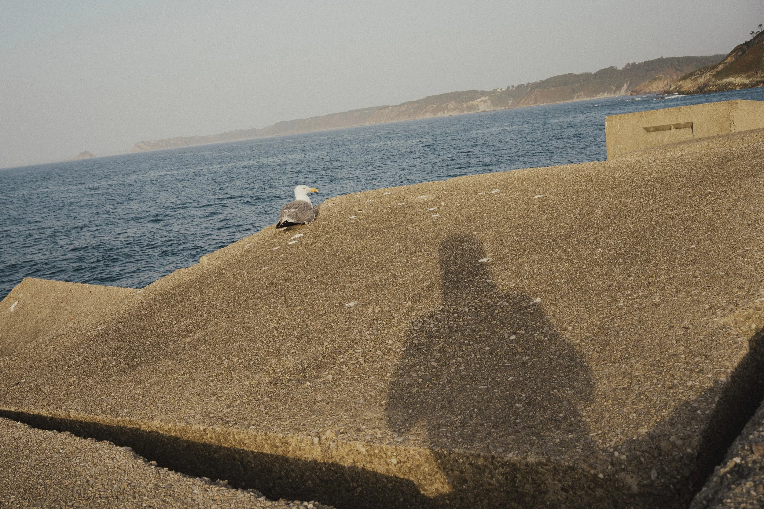 north to south-69.jpg