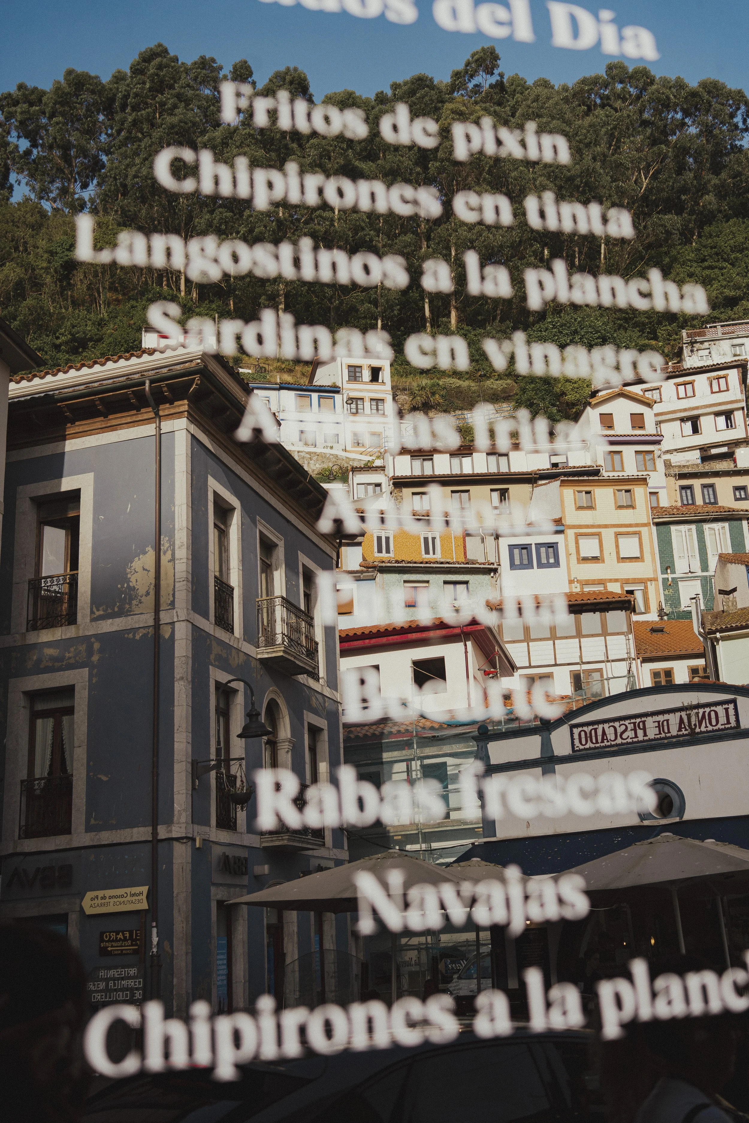 north to south-61.jpg