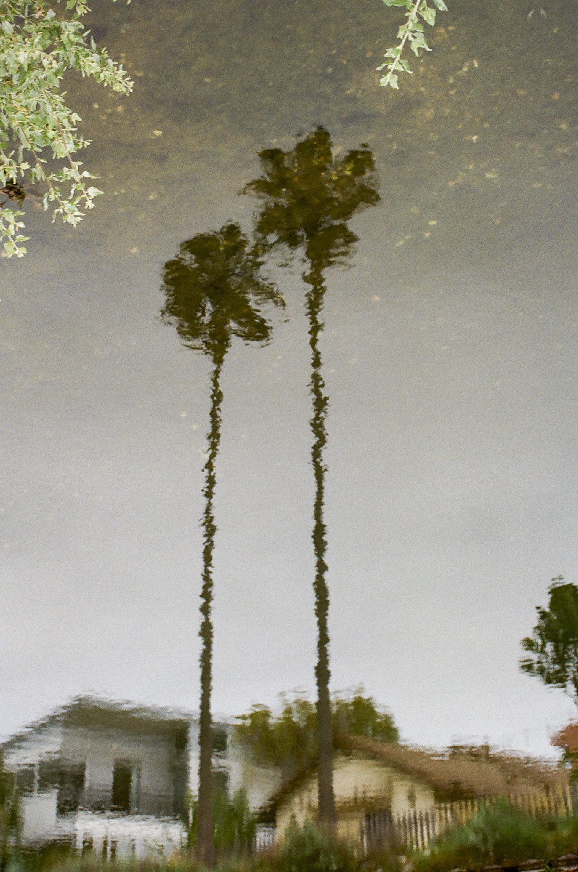 california film-48.jpg