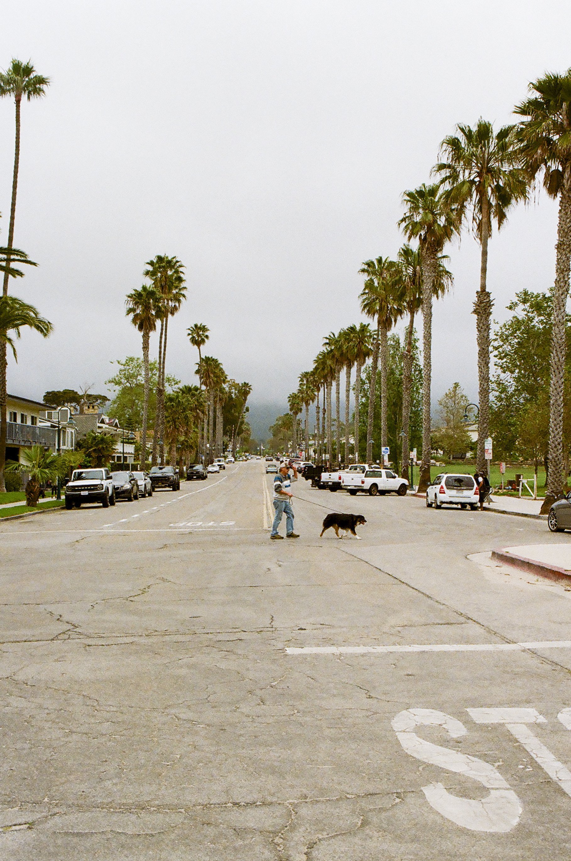 california film-53.jpg