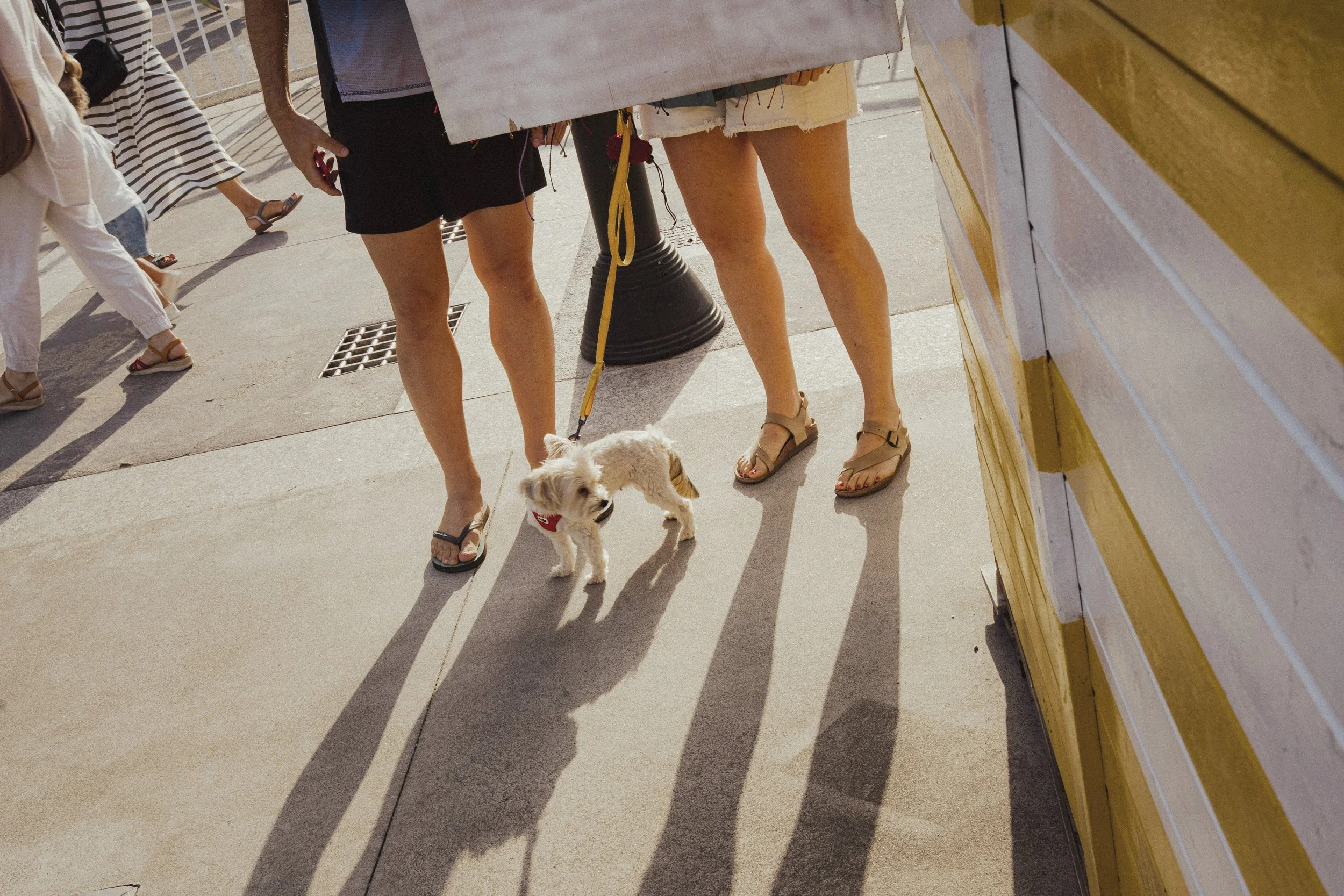 north to south-58.jpg