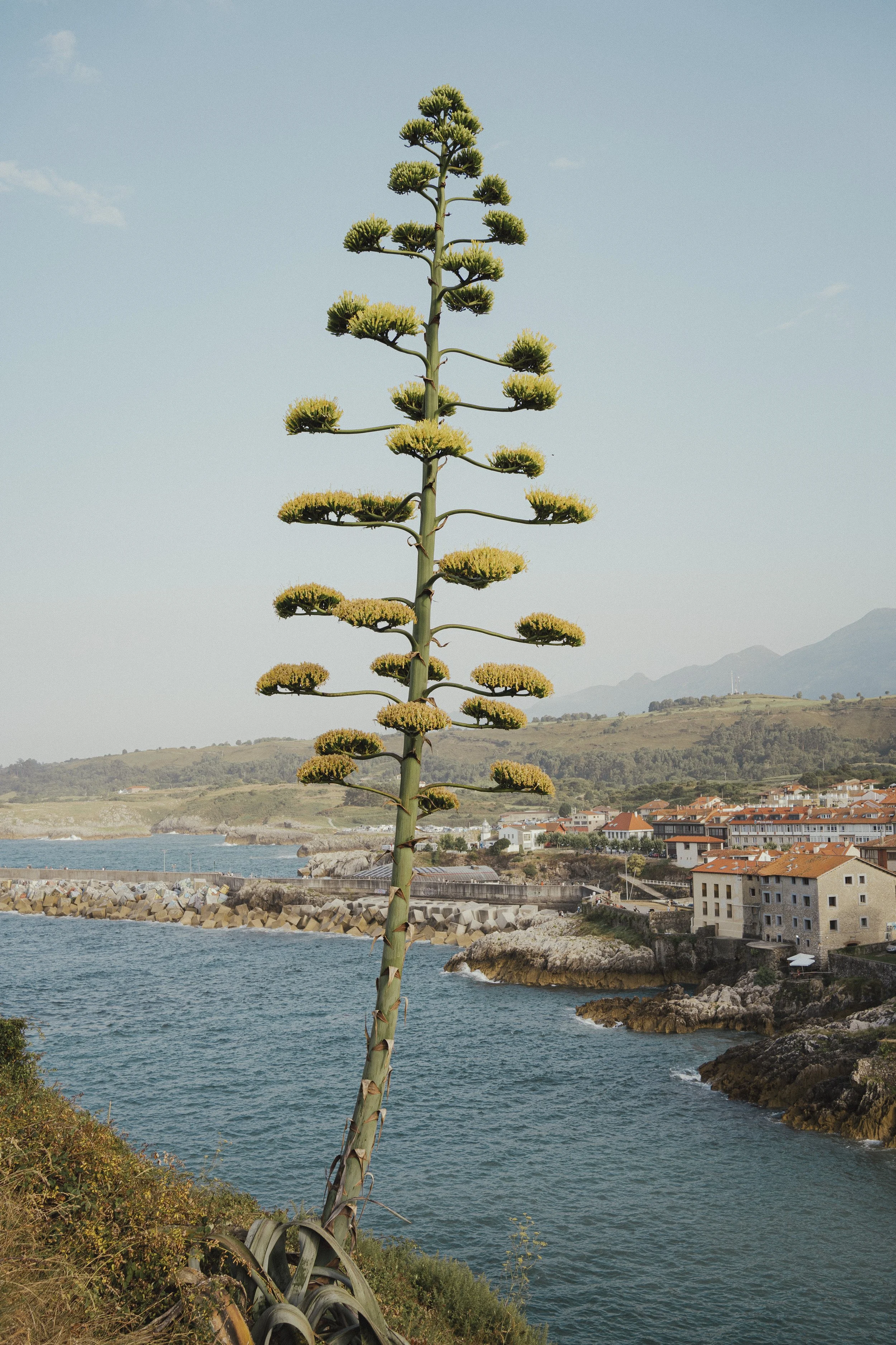 north to south-41.jpg